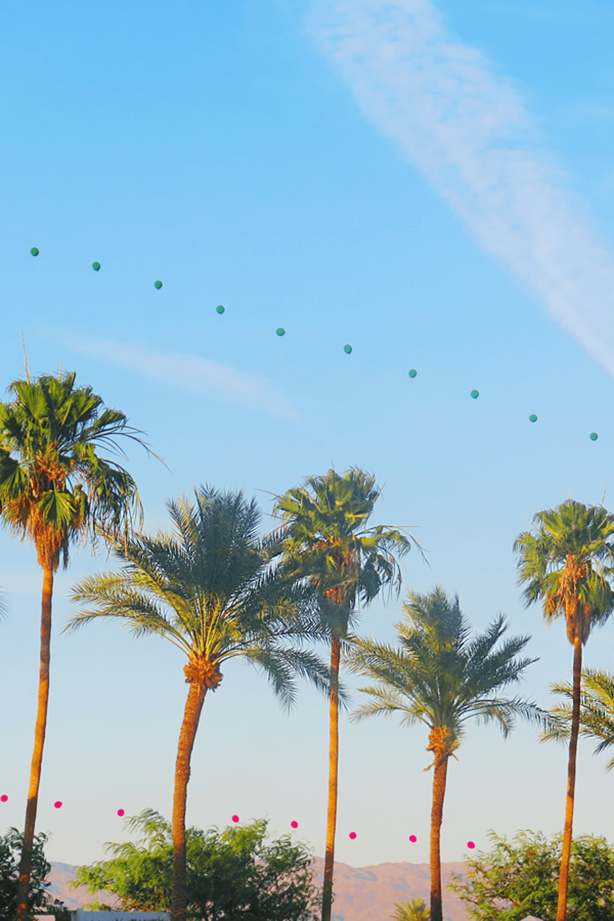 Prep for long days & chill nights under Coachella's famous palm