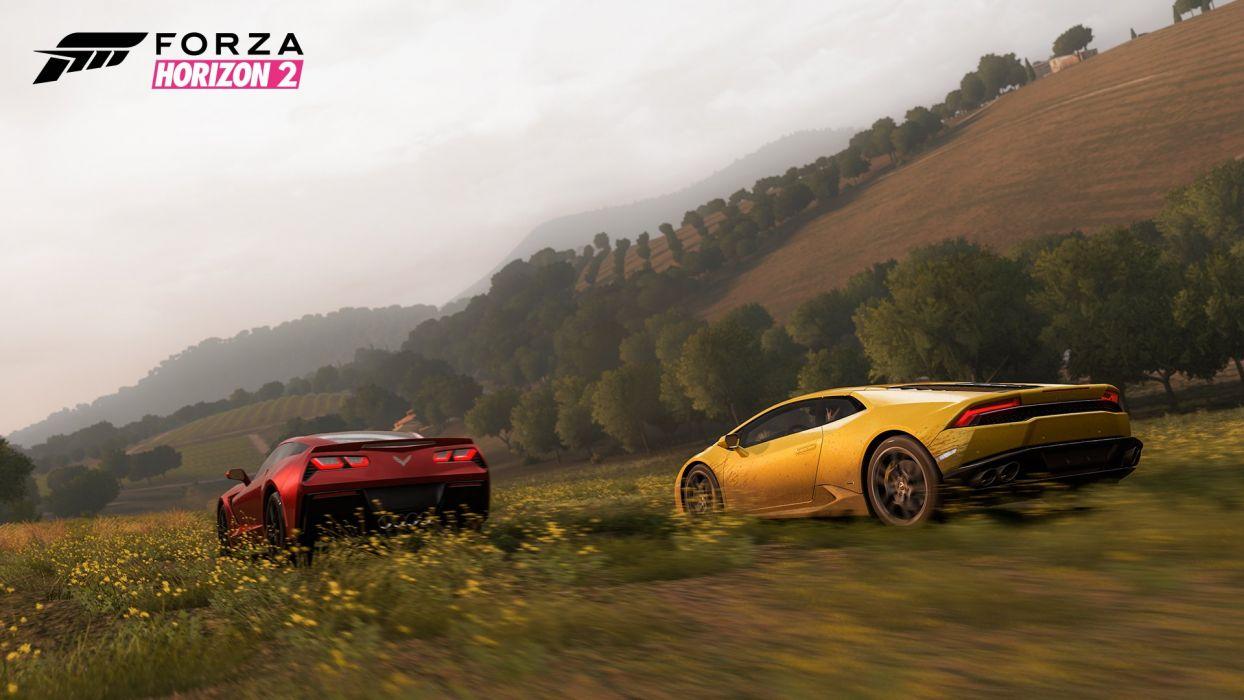 Forza Horizon 2 Wallpaperx1080