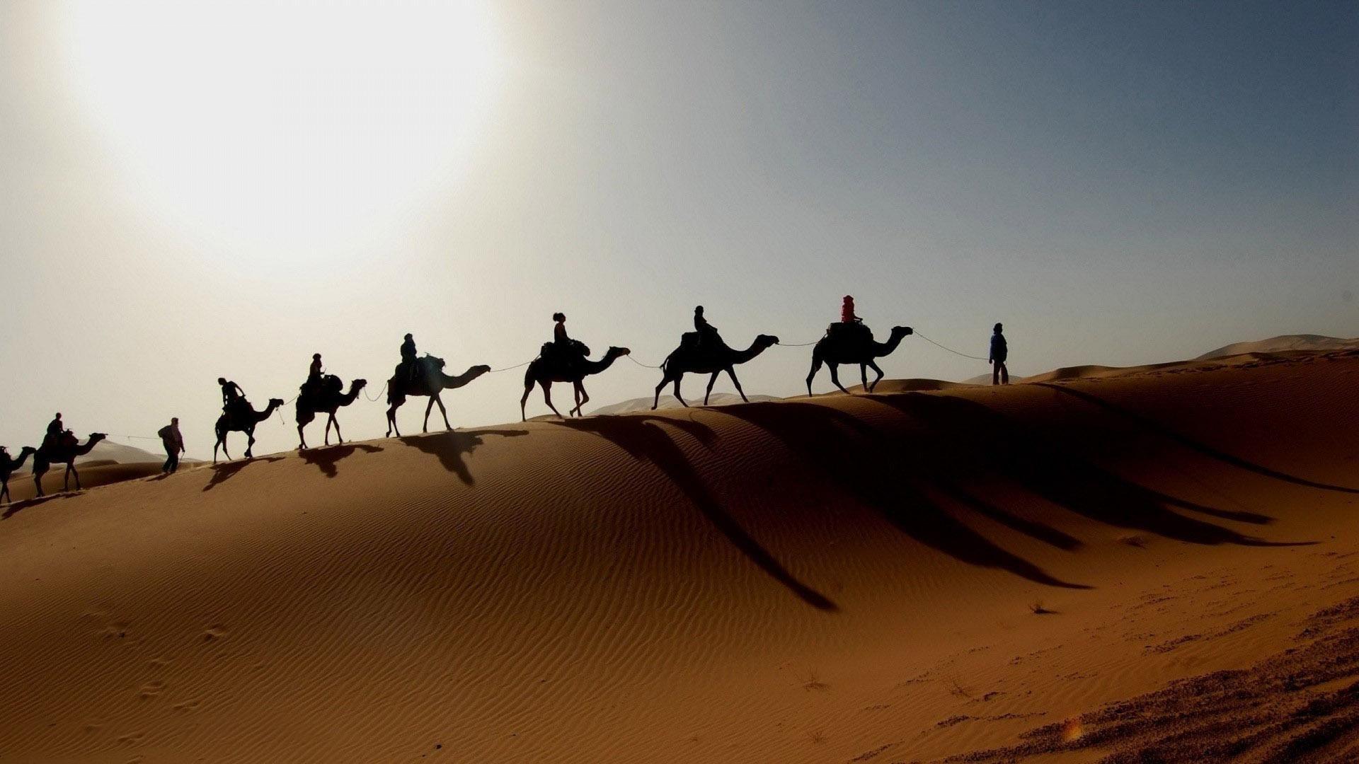 Dune Caravan on a dune Photography Desert Camel Caravan HD