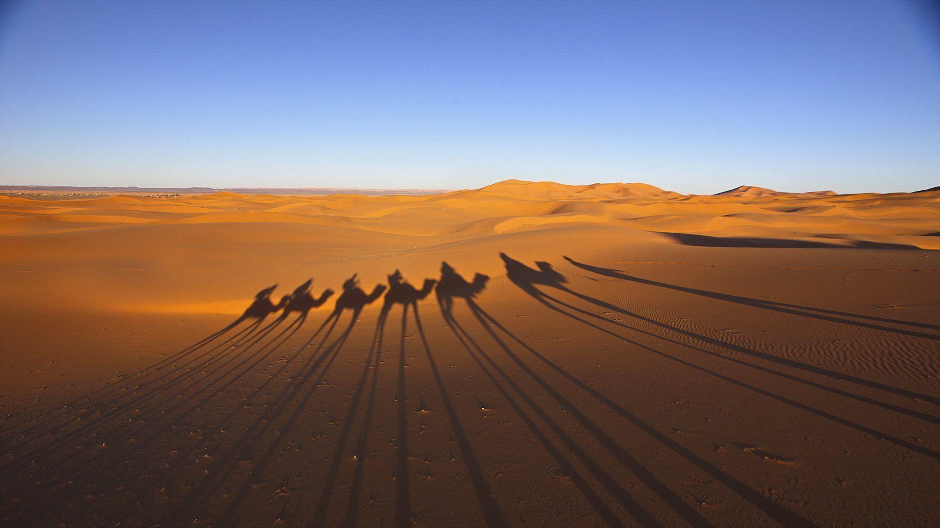 desert caravan shadow HD wallpaper