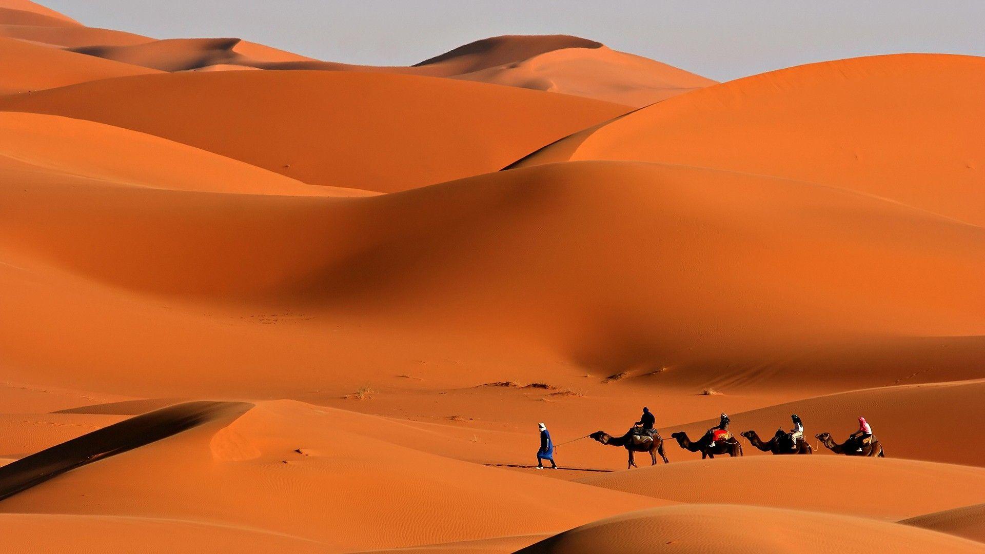 Download Wallpaper 1920x1080 caravan, desert, camels, sand, heat