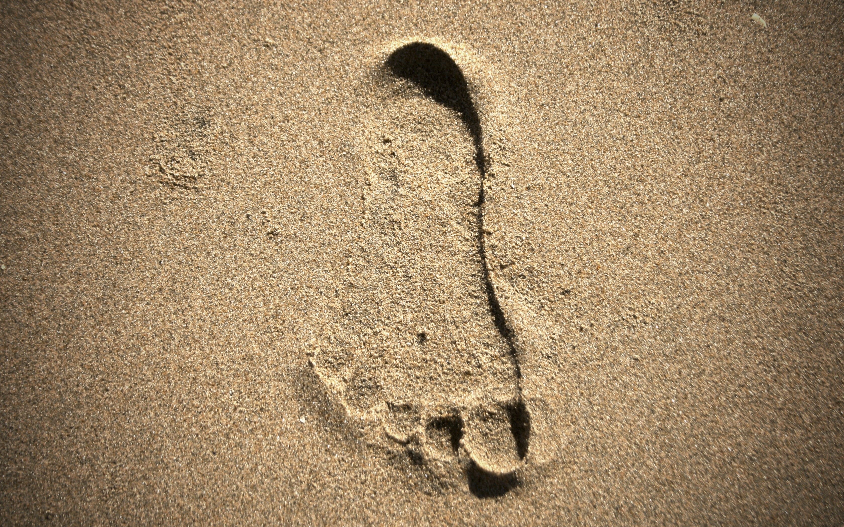 Beach: Beaches Newport Footprints Beach Sand Nature Footprint