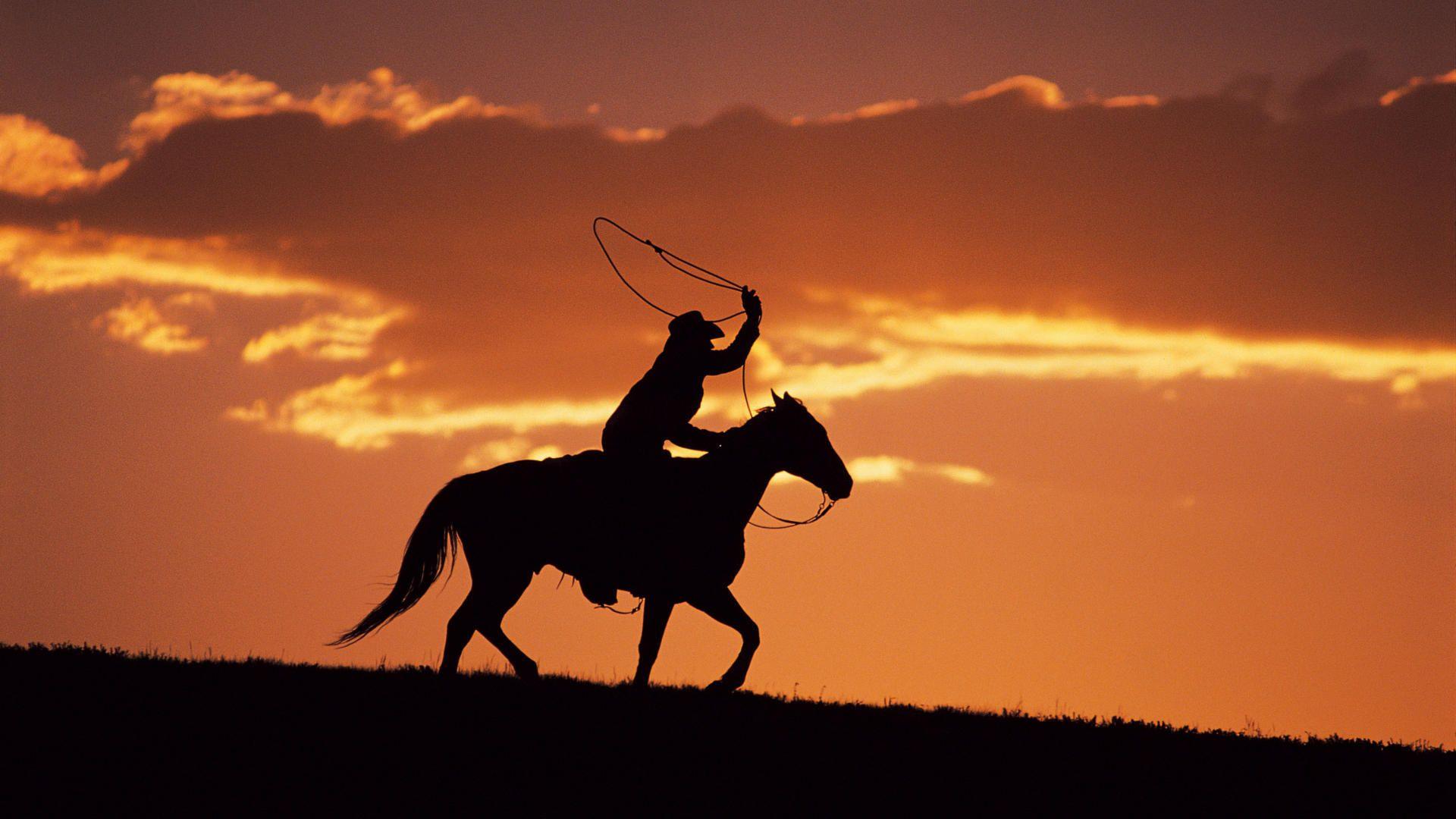 Wallpaper Evening Silhouette Cowboy Horse Free Desktop. Cowboys