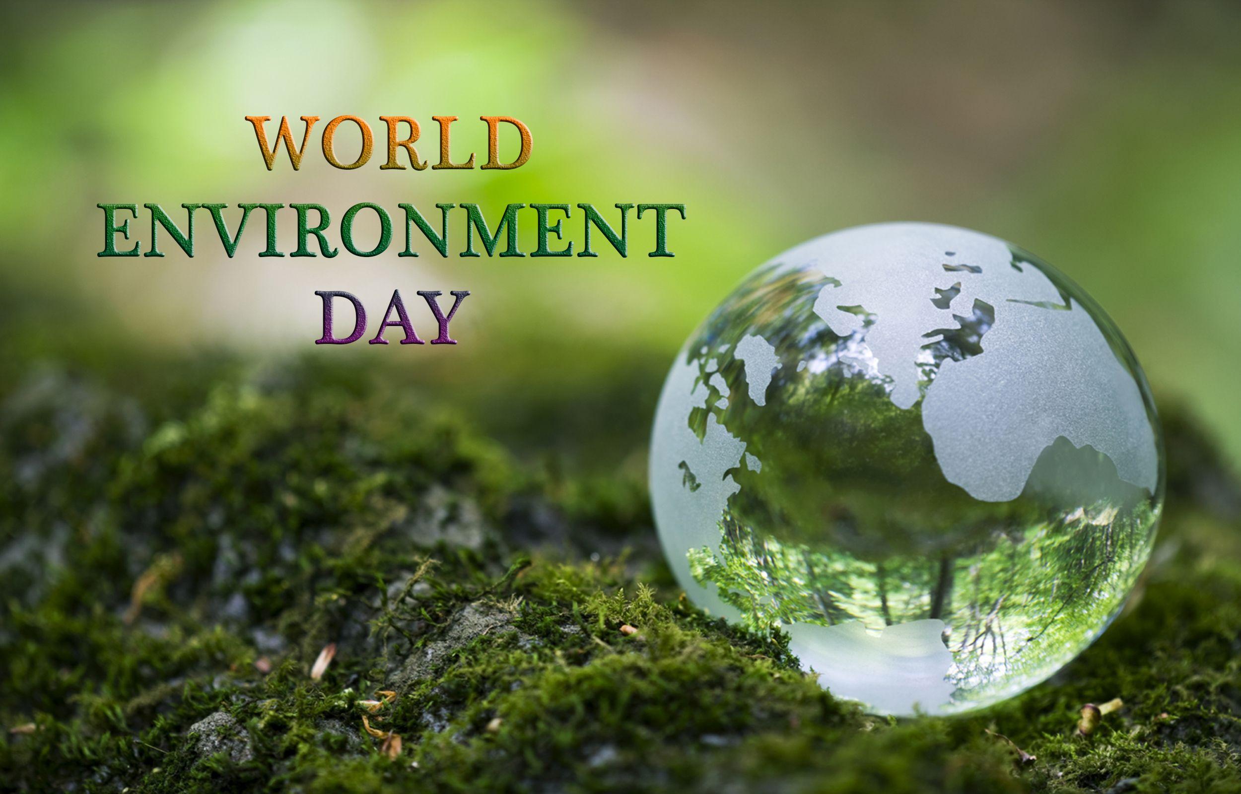 World Environment Day Protect For Wallpaper