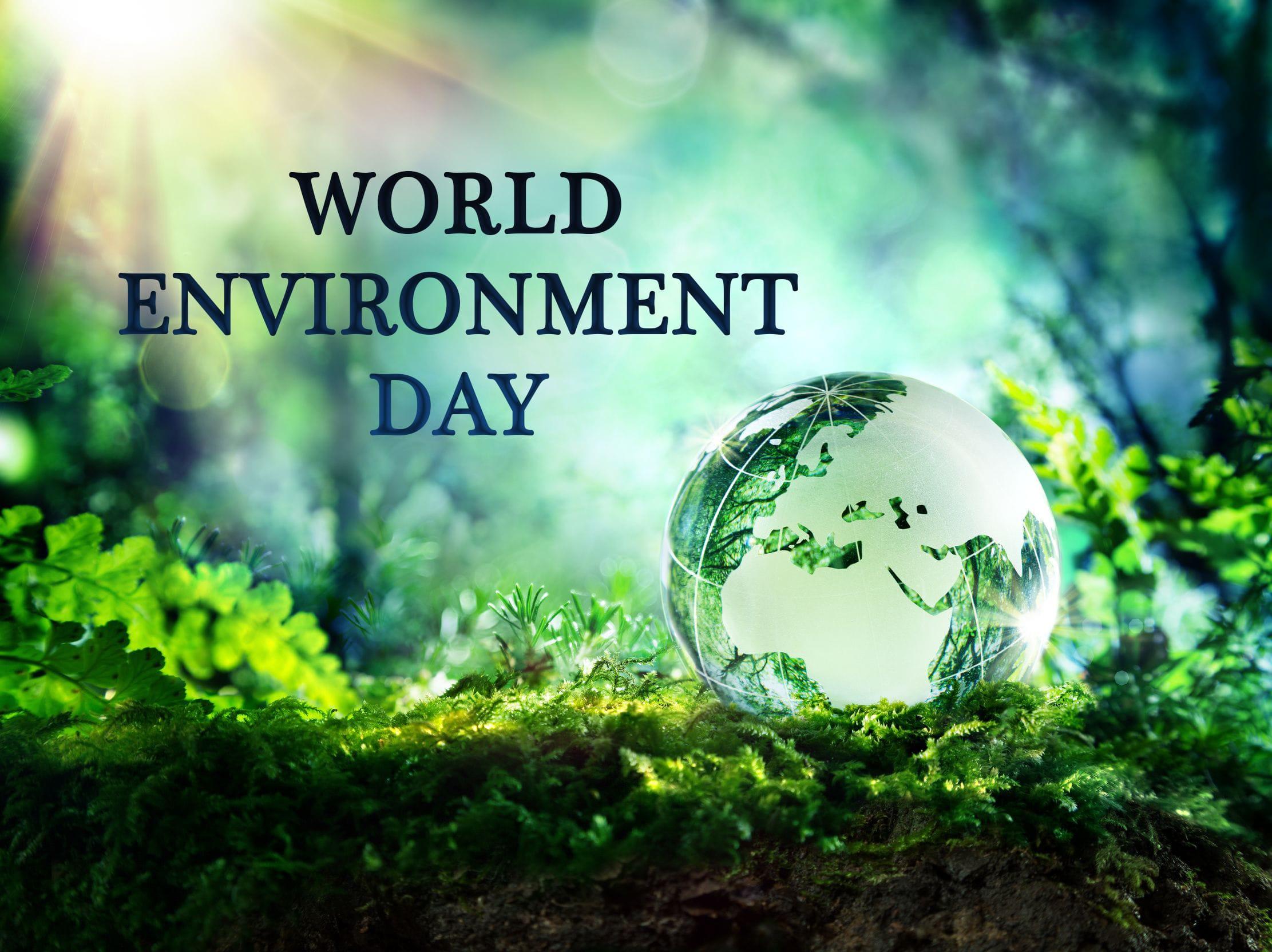 World Environment Day Hand Nature HD Image