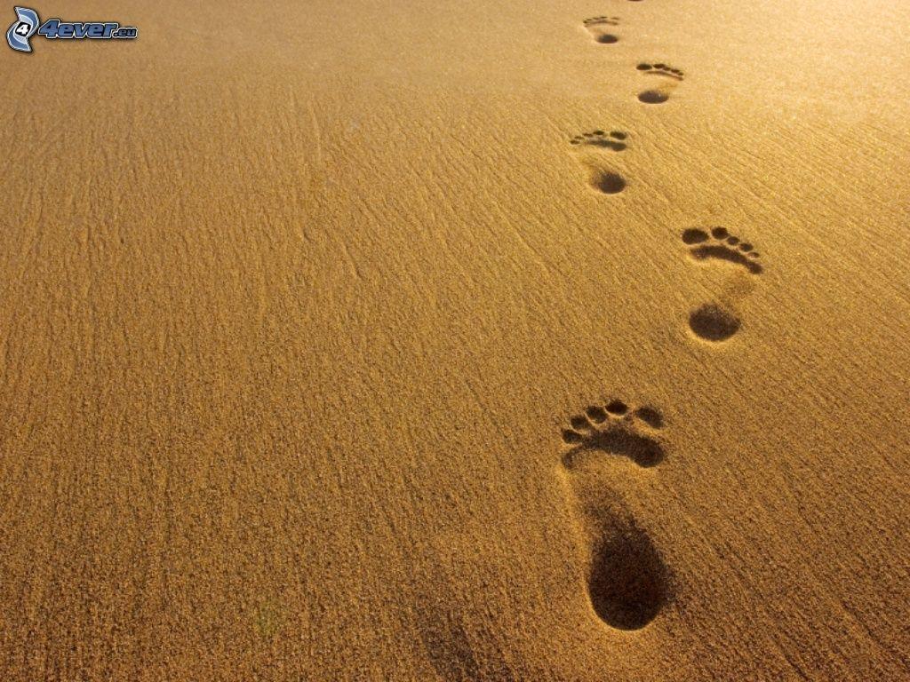 Download Footprints in the sand