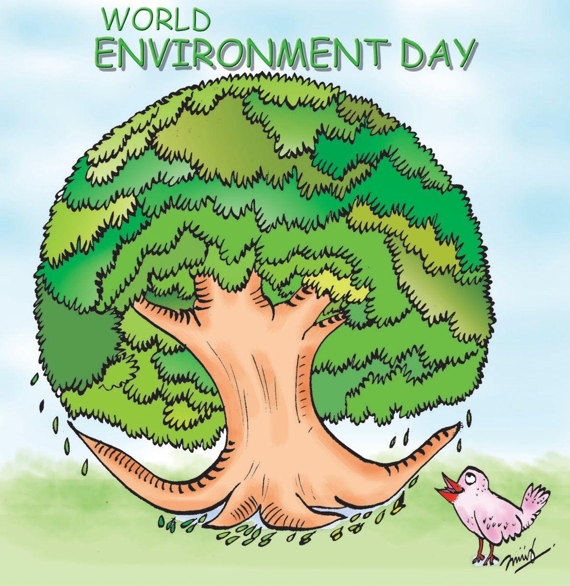 PicturePool: World Environment Day Wallpaper
