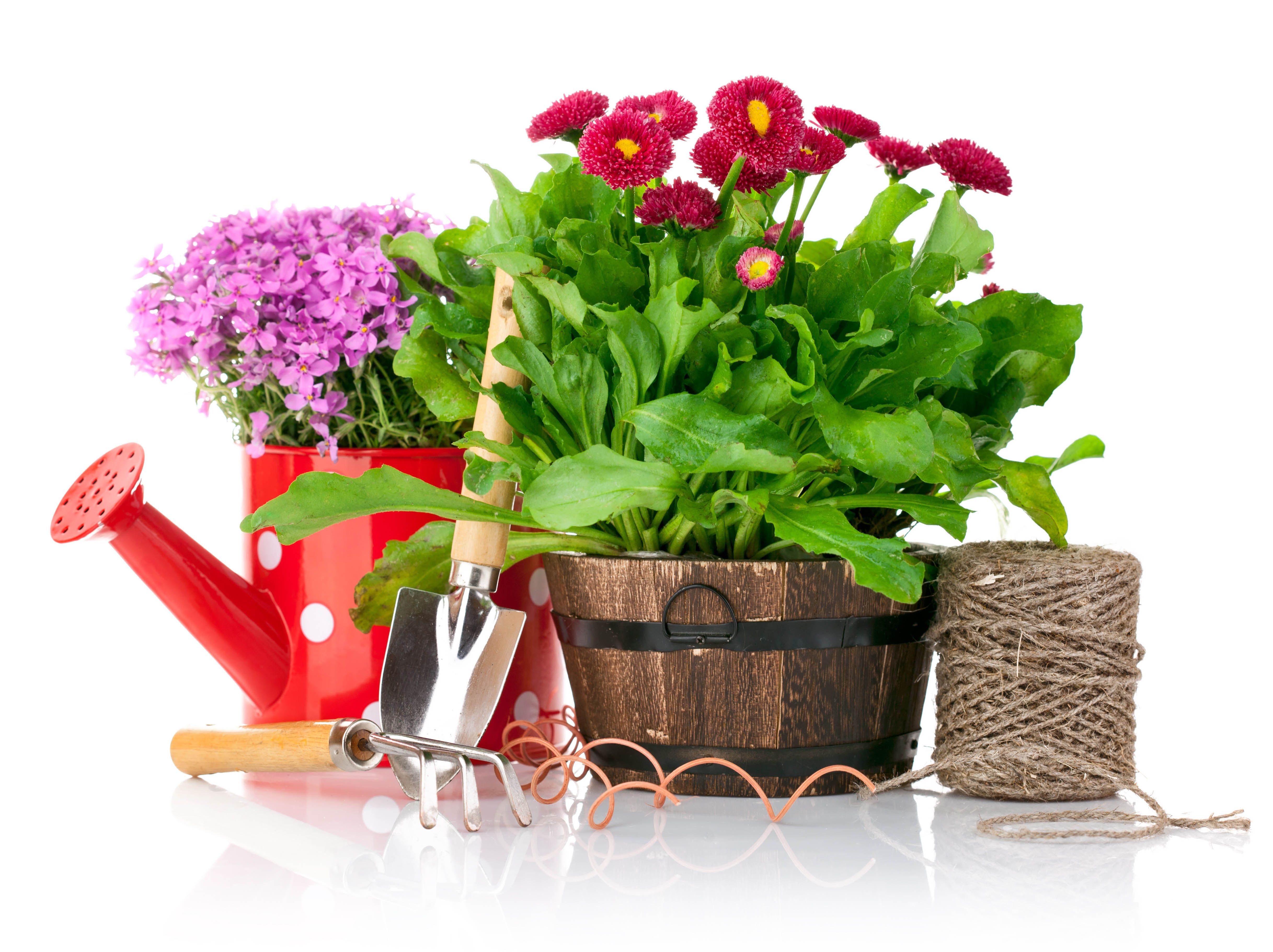 Download Wallpaper Gardening, Items, Sewing, Flowers. gardening