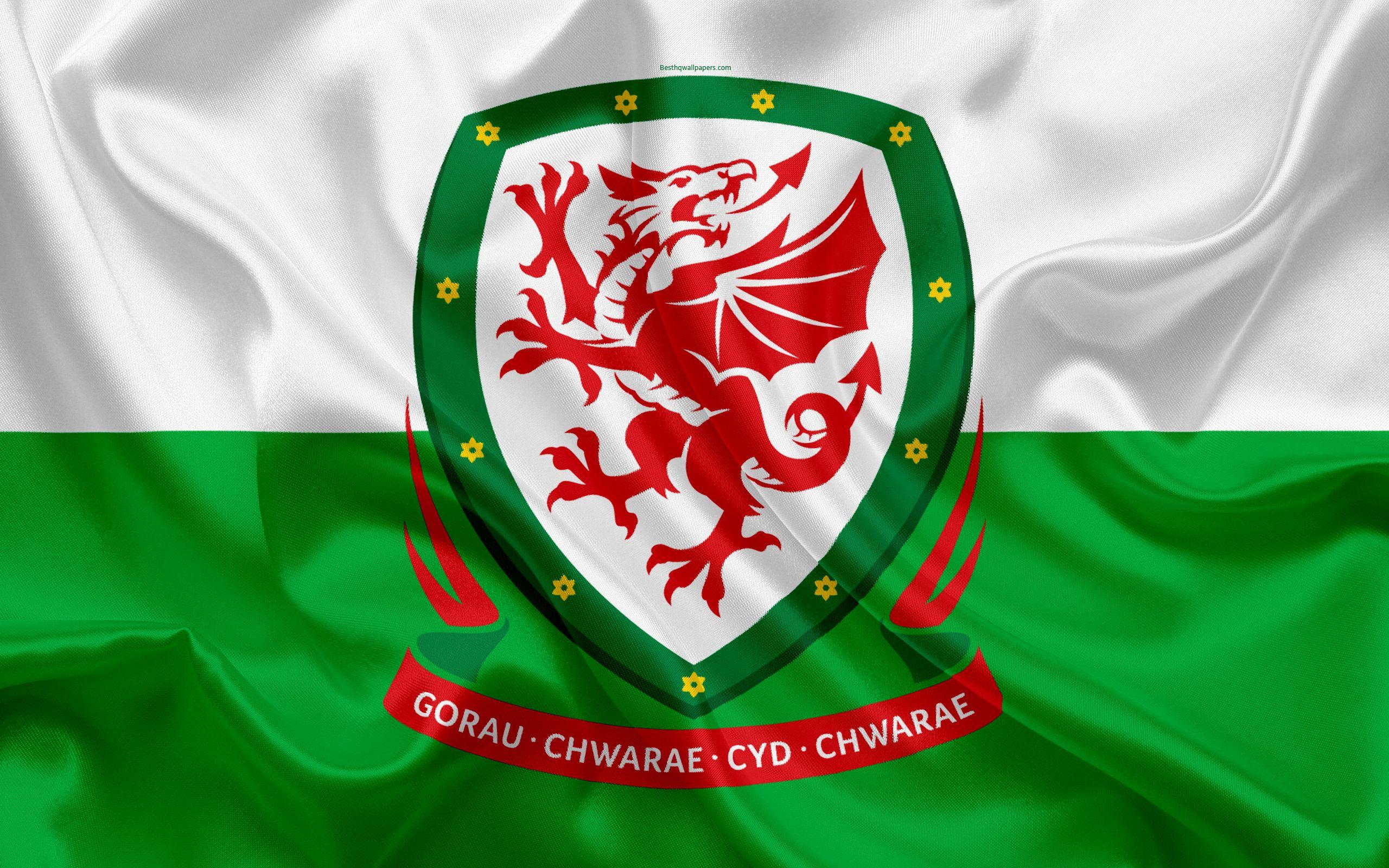 Download wallpaper Wales national football team, emblem, logo