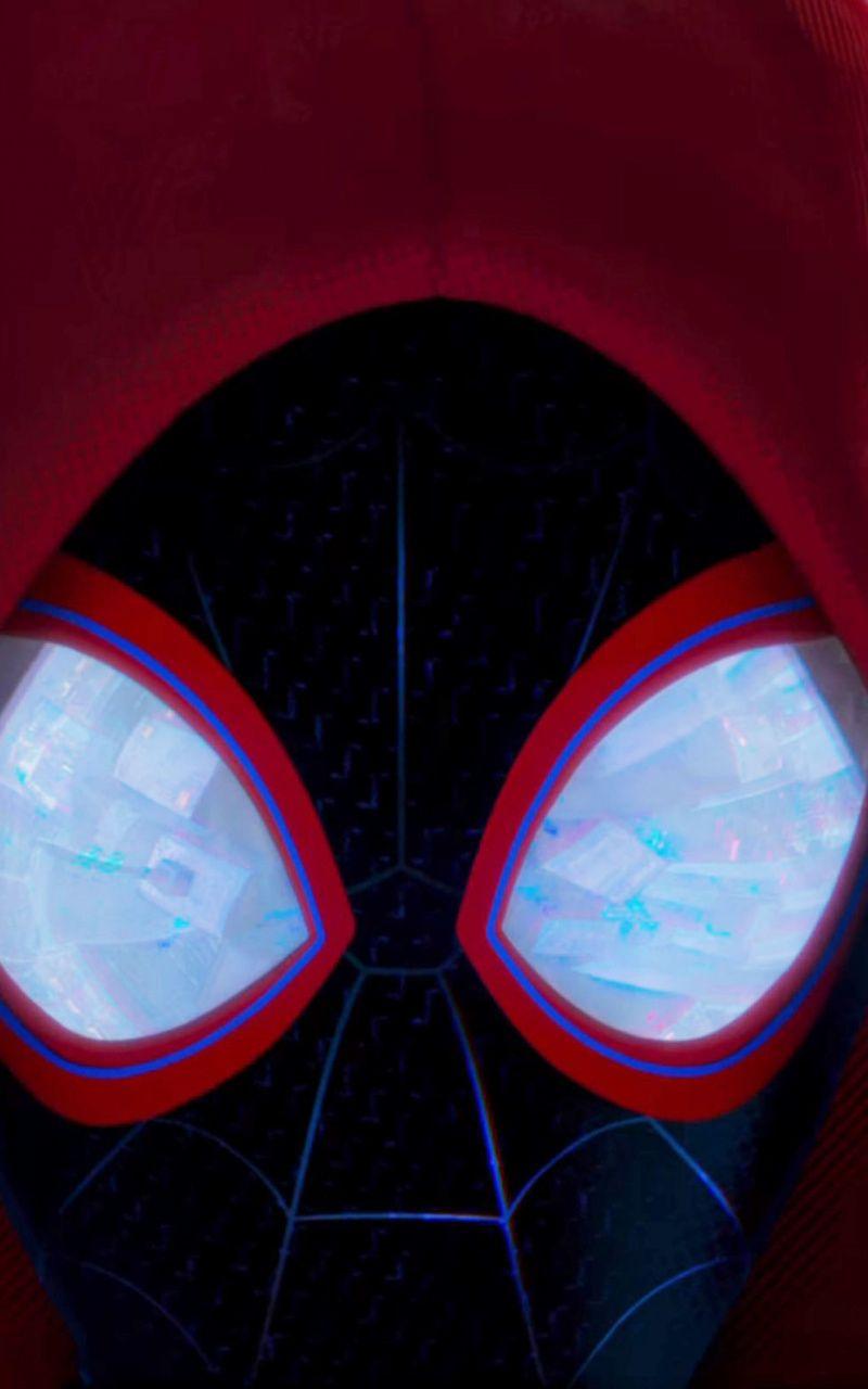 Download 800x1280 Wallpaper Spider Man: Into The Spider Verse, Movie