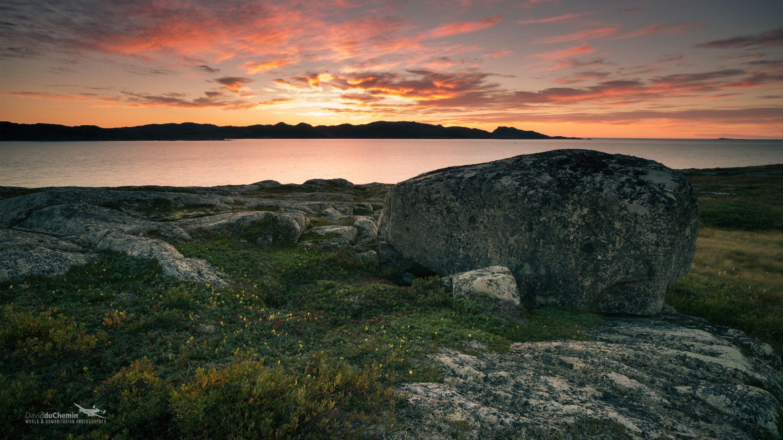 Newfoundland Wallpaper