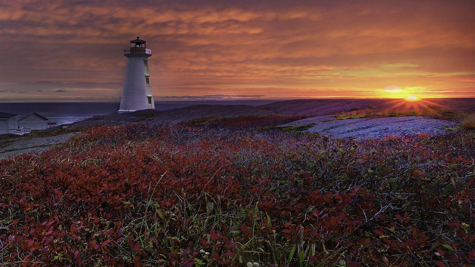 Newfoundland Lighthouse Wallpaper