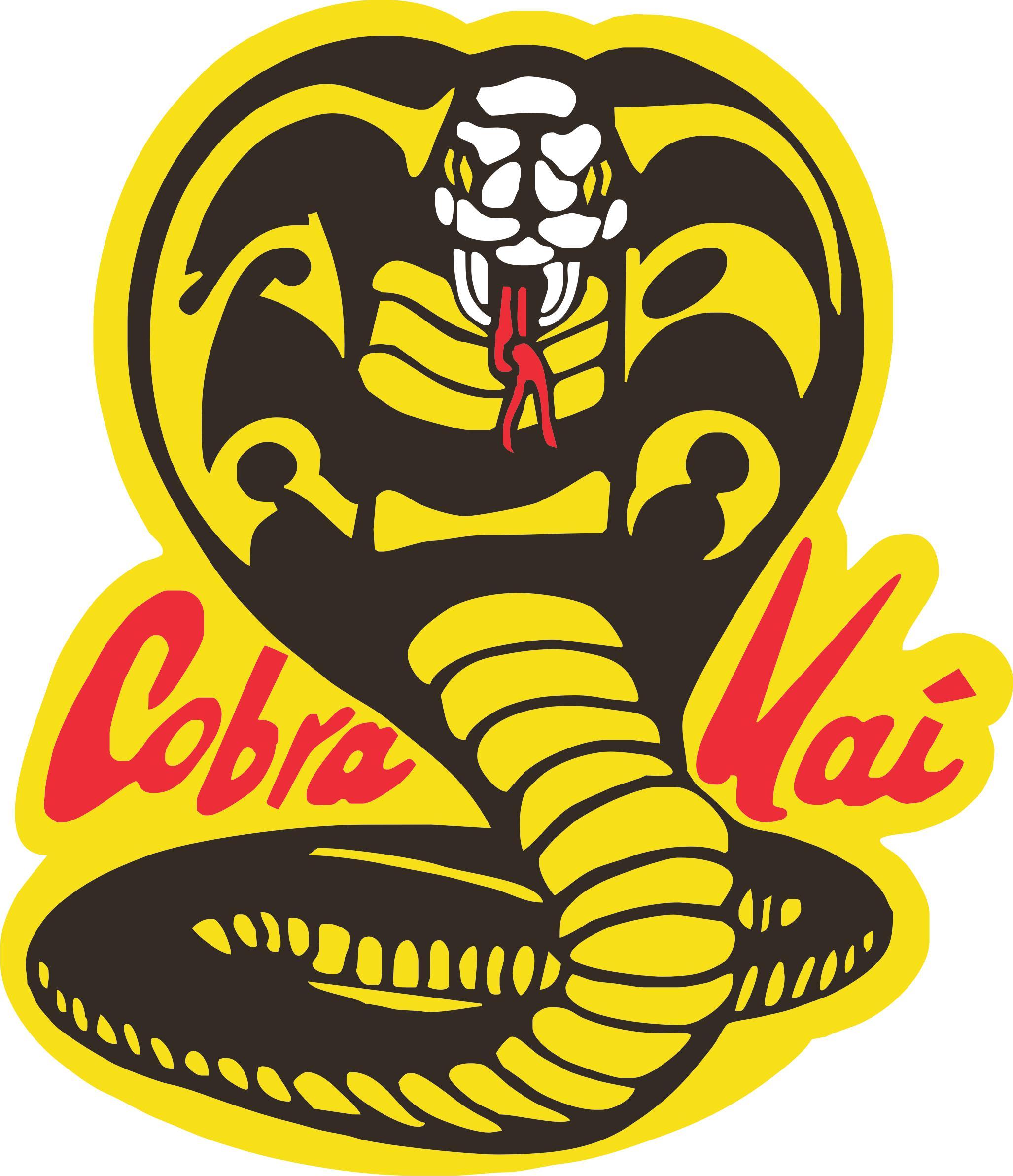 Cobra Kai (TV Series 2018– )