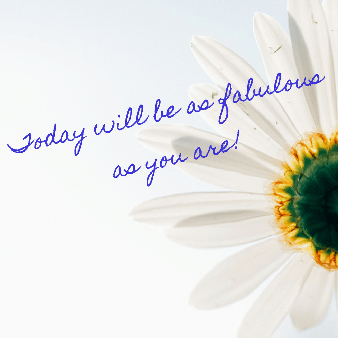 Upsy Daisy Flowers Choice Image Wallpaper HD