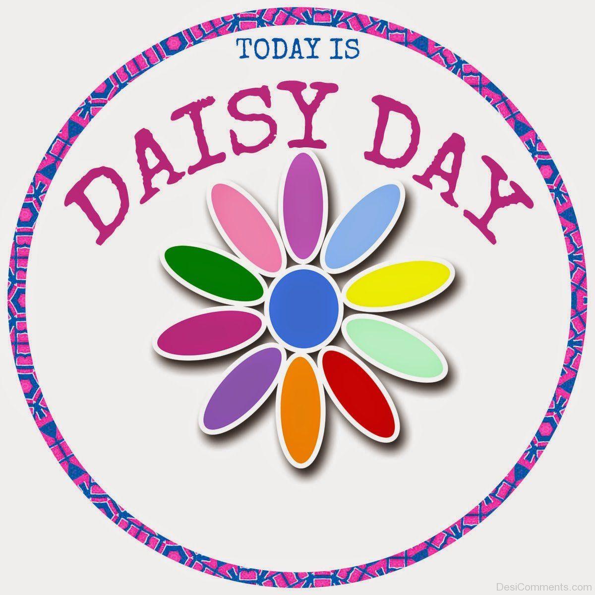 Upsy Daisy Day Wallpapers Wallpaper Cave