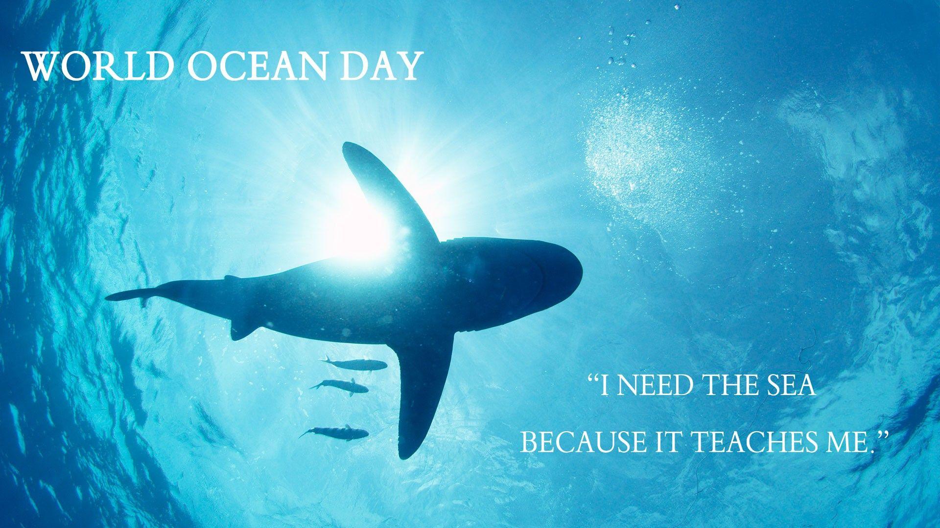 World Oceans Day Wallpaper