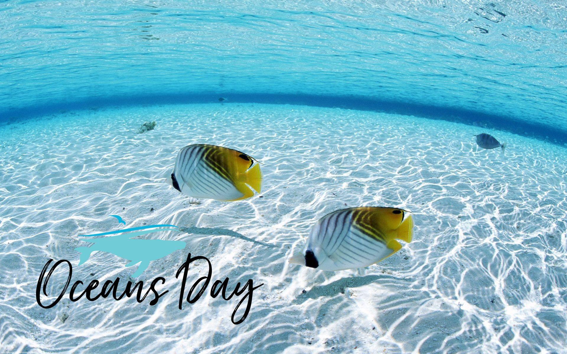 World Oceans Day Wallpaper Free Download