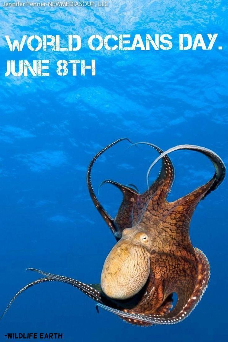 Best World Ocean Day Wish Picture And Image