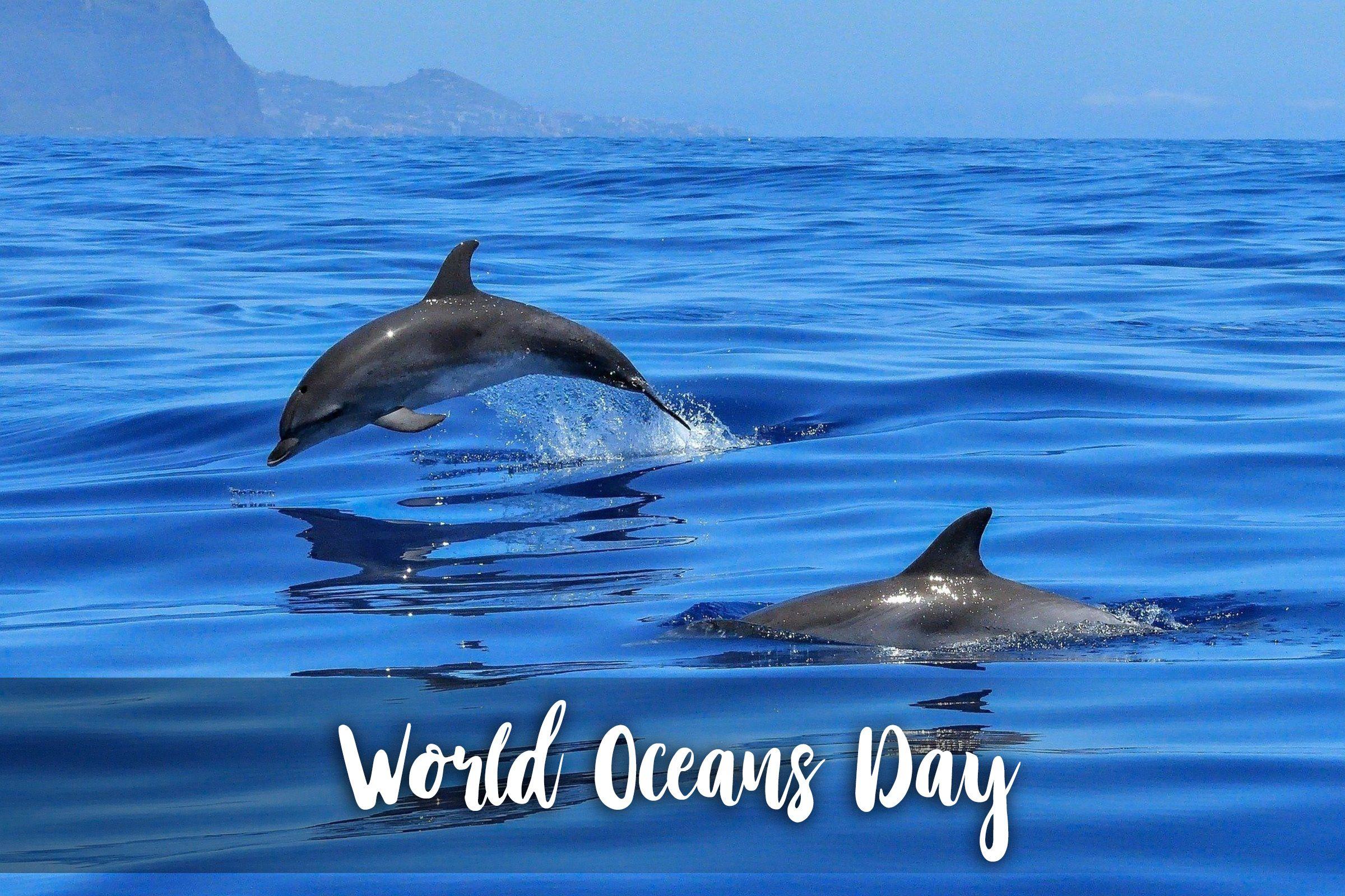 Happy World Oceans Day Our Ocean Our Future Wallpaper