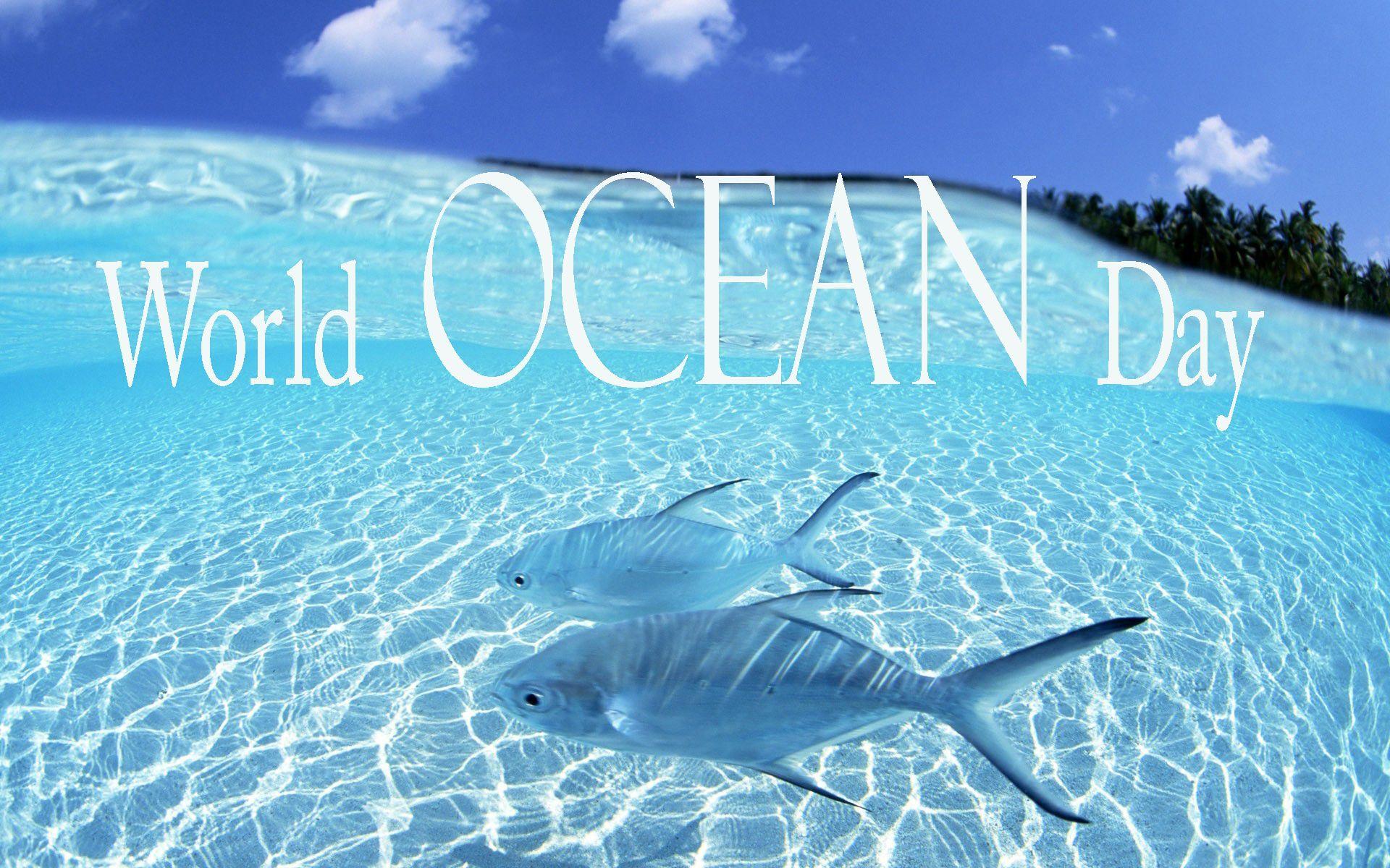 World Ocean Day HD Wallpaper