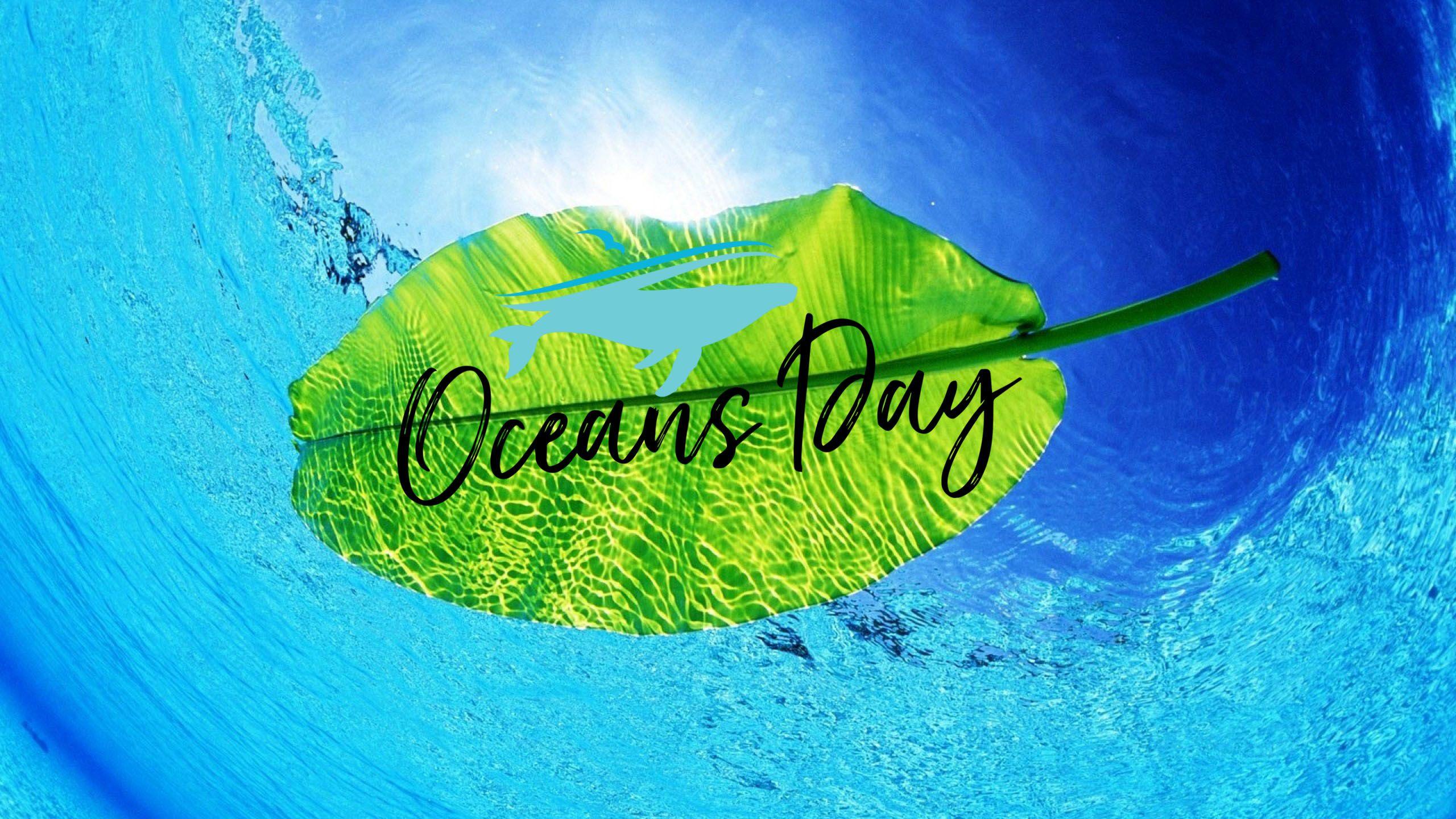 Happy World Oceans Day Leaf HD Wallpaper