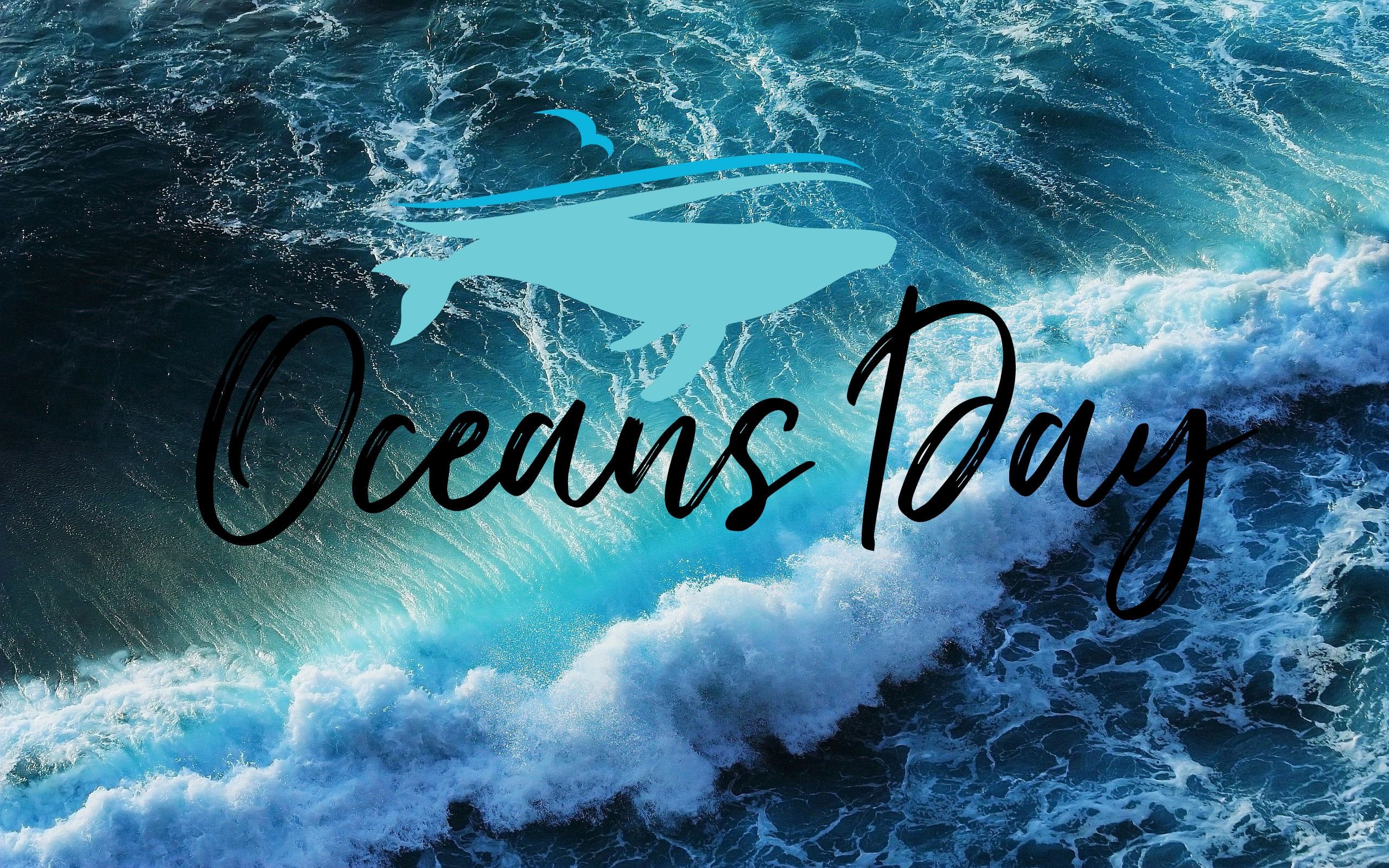 Happy World Oceans Day Surfing HD Wallpaper