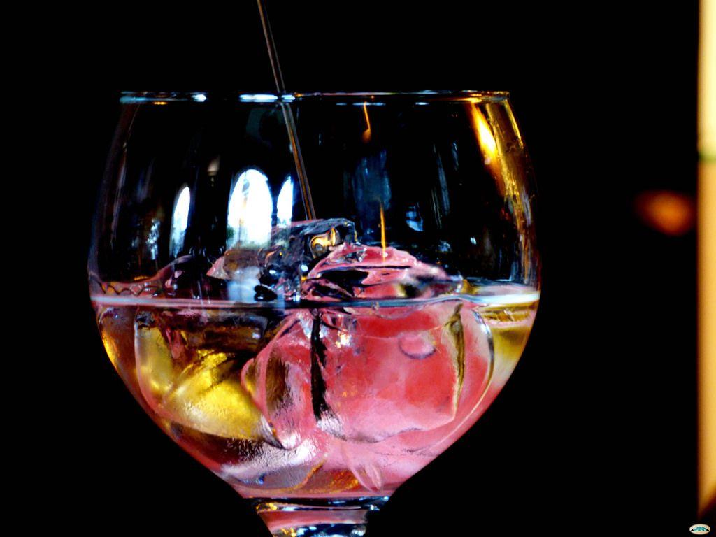 Gin tonic en copa sin pie