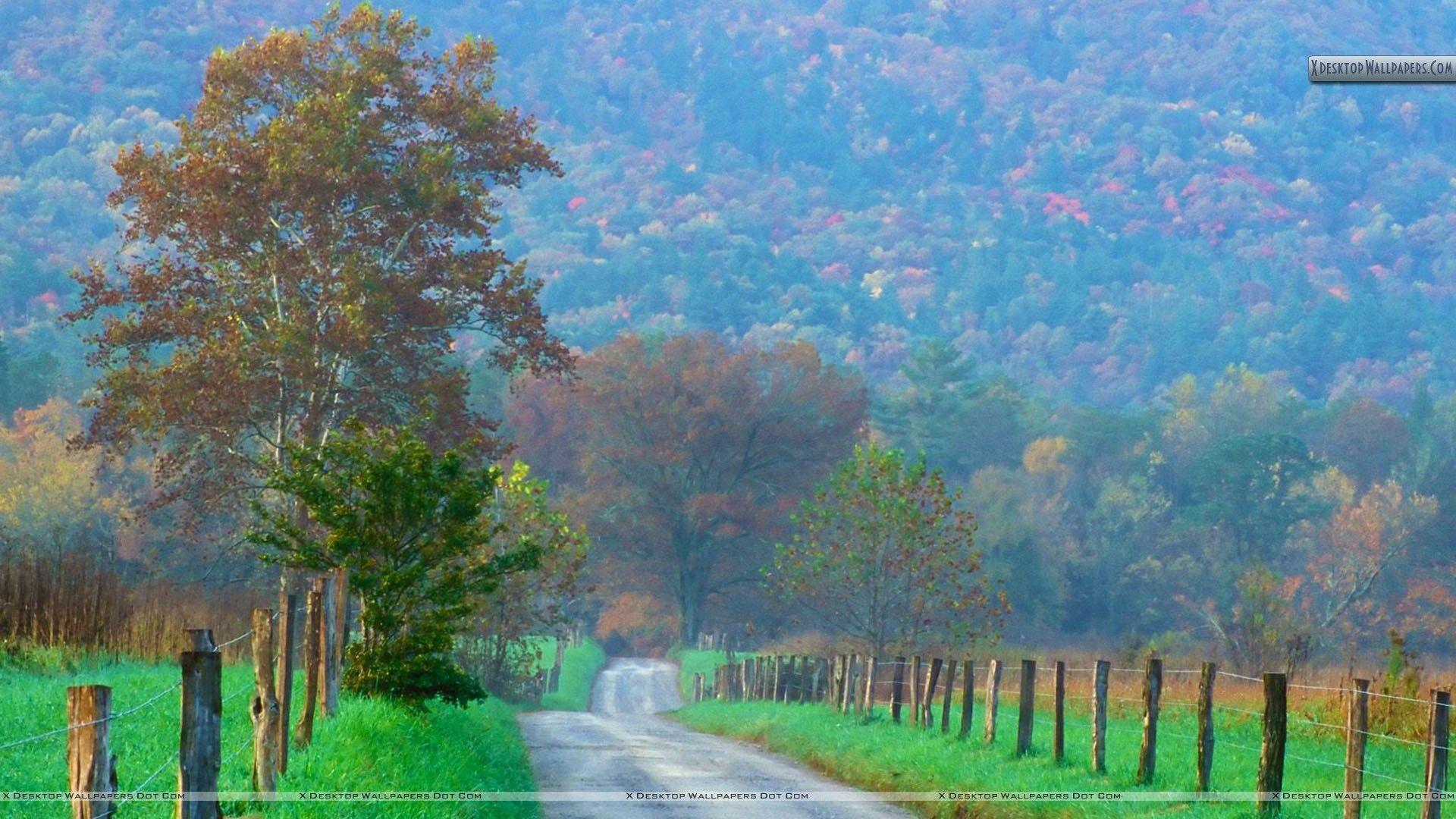 Cades Cove Great Smoky Mountains National Park Tennessee Wallpaper