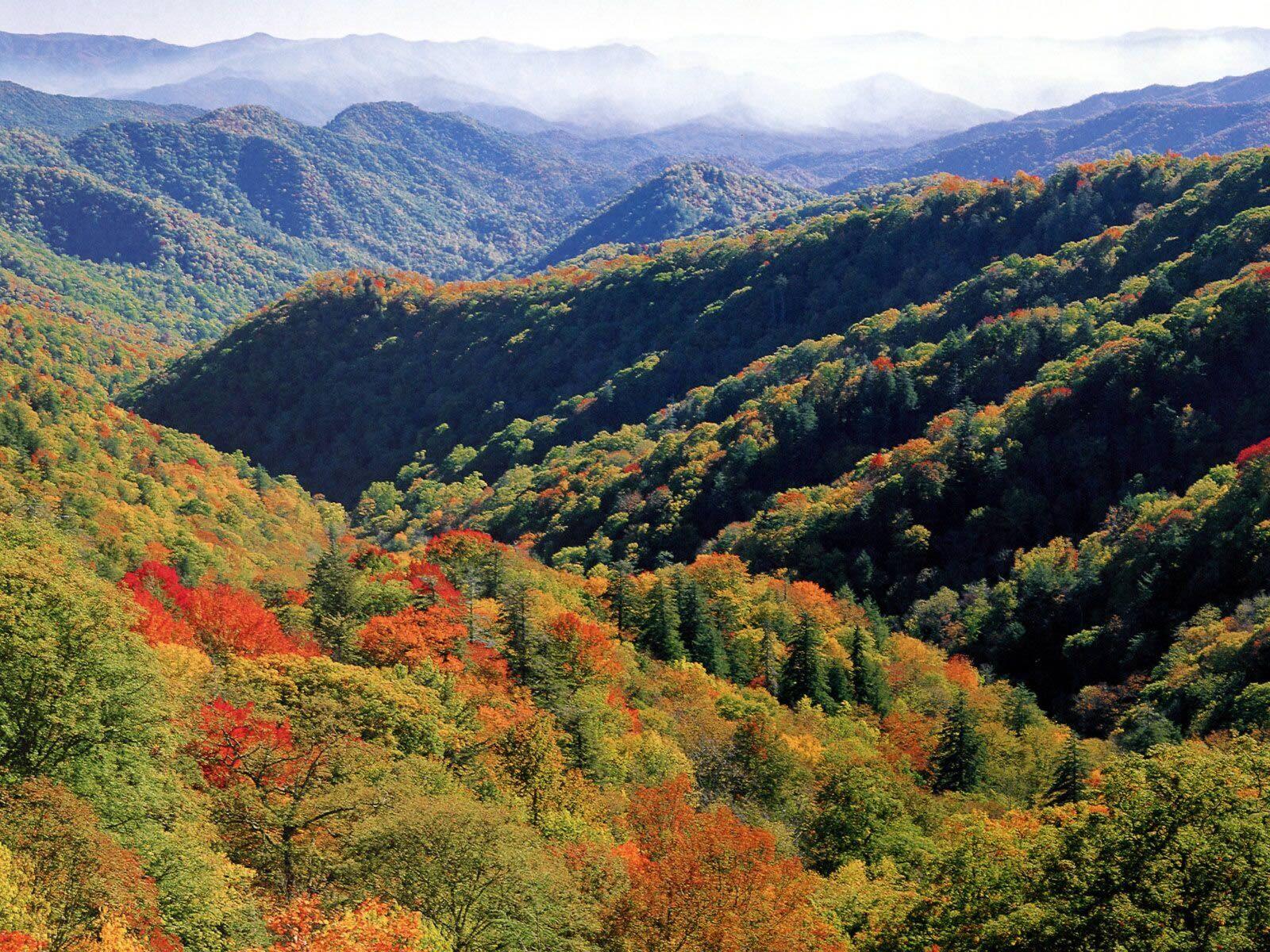 North Carolina Great Smoky Mountains