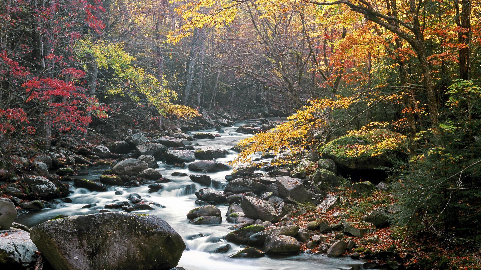 download free great smoky mountains