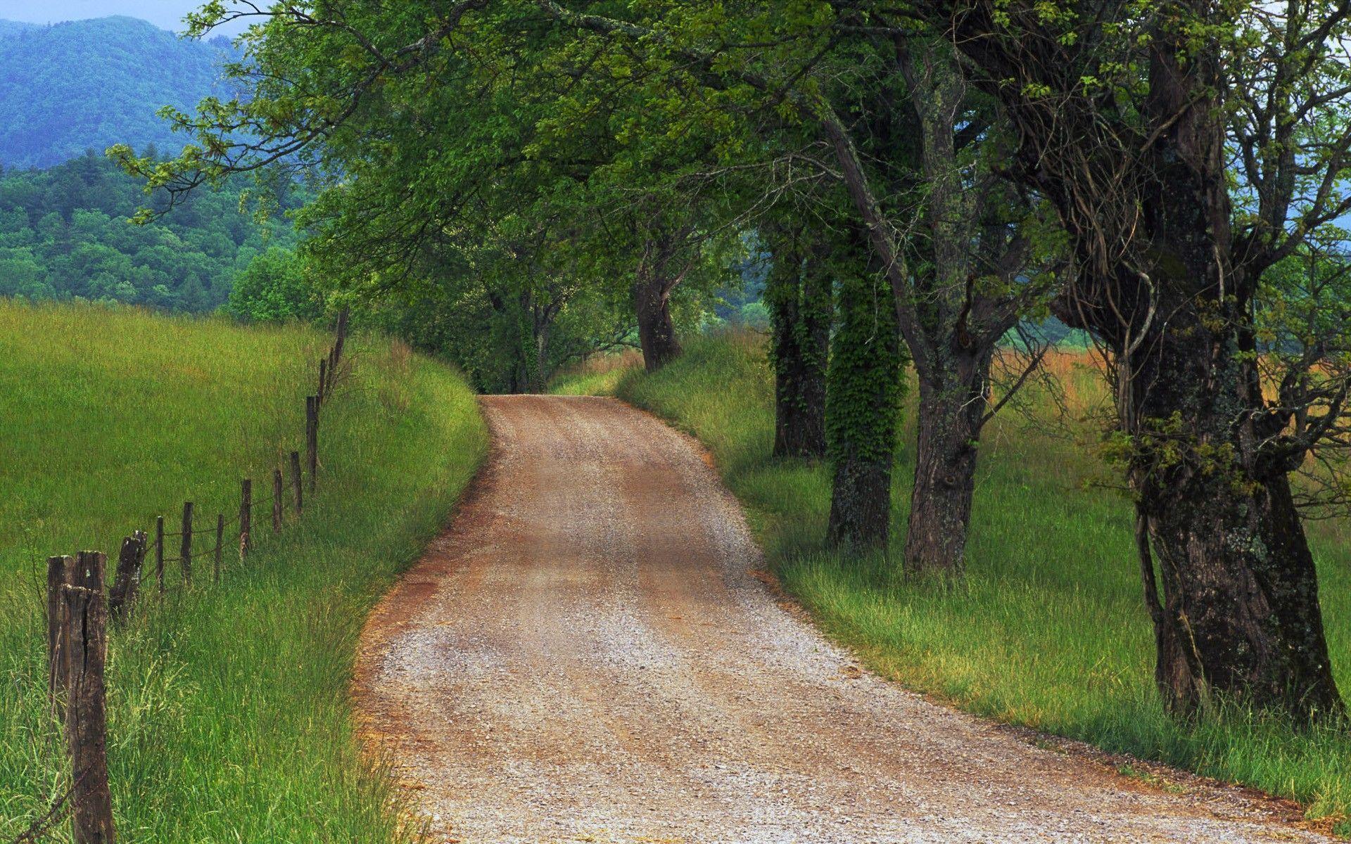 Fields: Country Road Smoky Mountains Tennessee Tree Path Nature