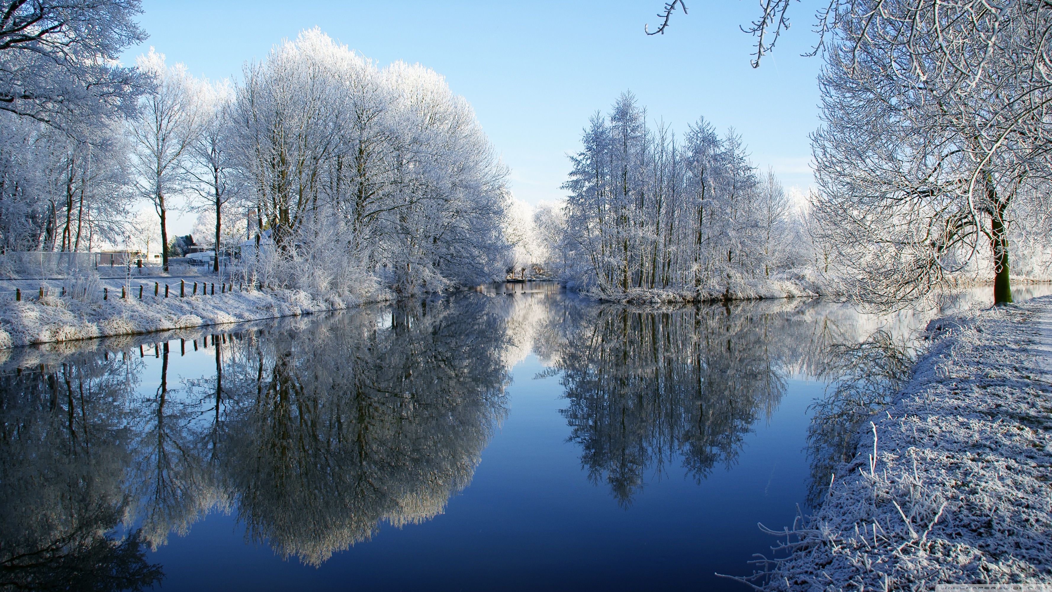 Frozen Trees Reflected In Water ❤ 4K HD Desktop Wallpaper for 4K