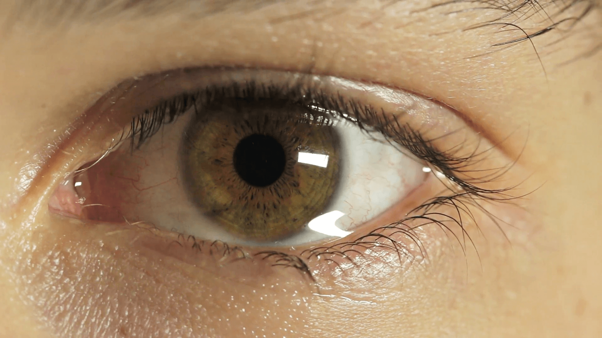 Зеленый глаз со слезой