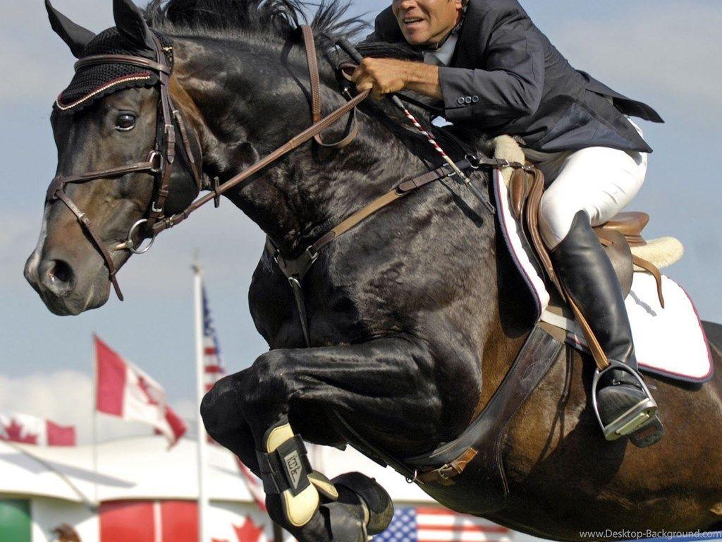 HD Animals Wallpaper: Black Horse Jumping Picture Desktop Background