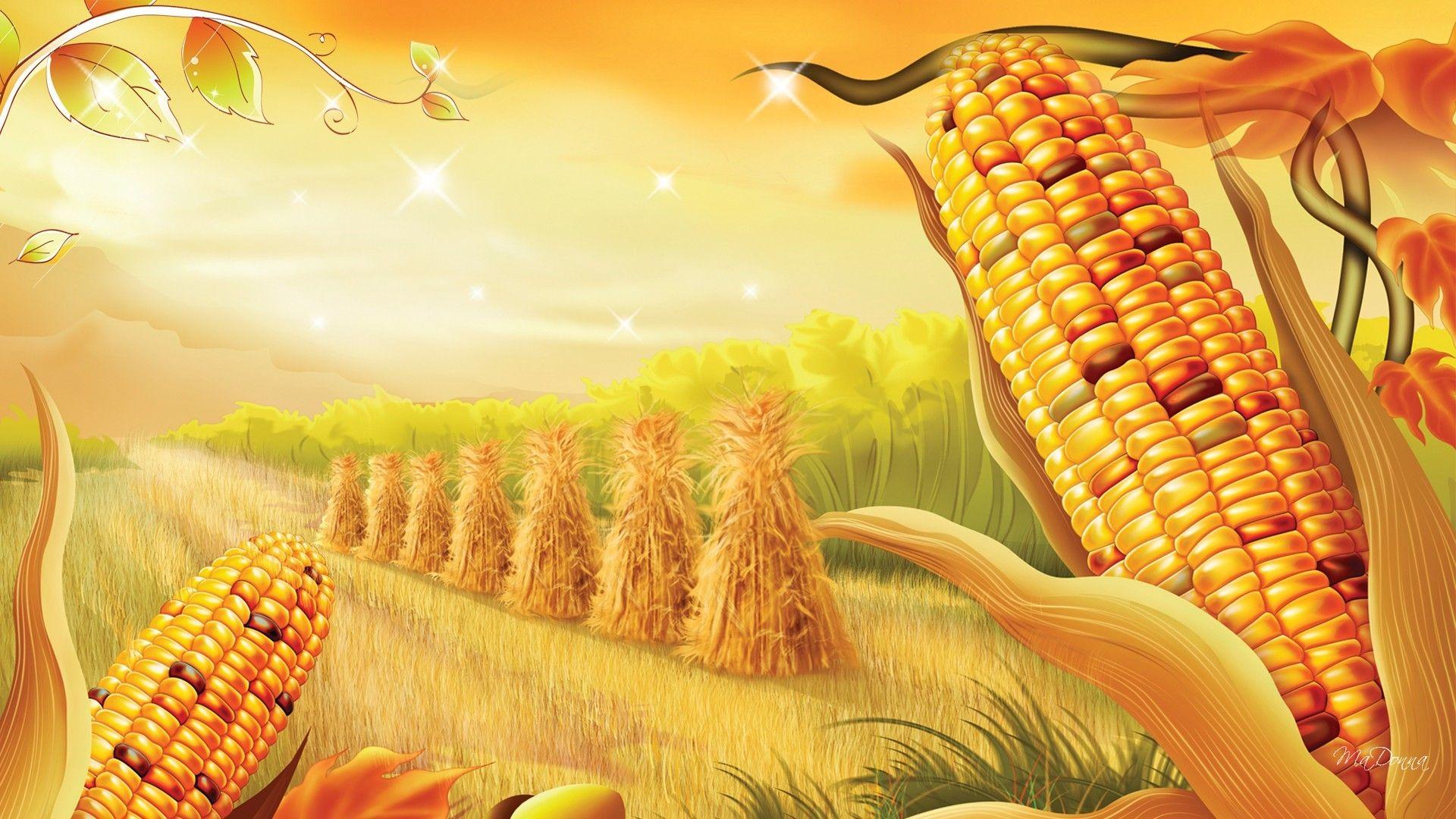 Corn On The Cob Wallpaper 9875