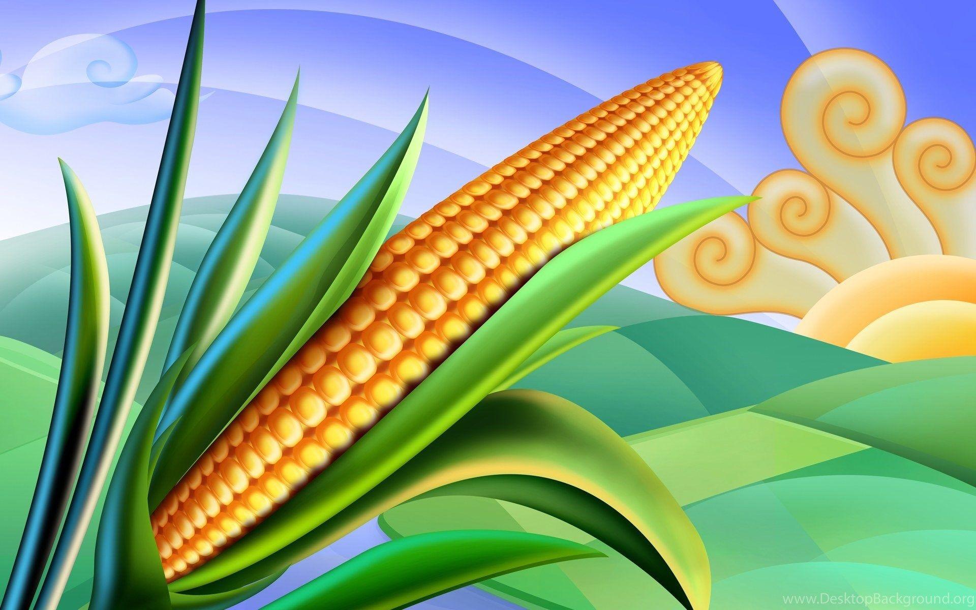 Corn Wallpaper 16 X 1200