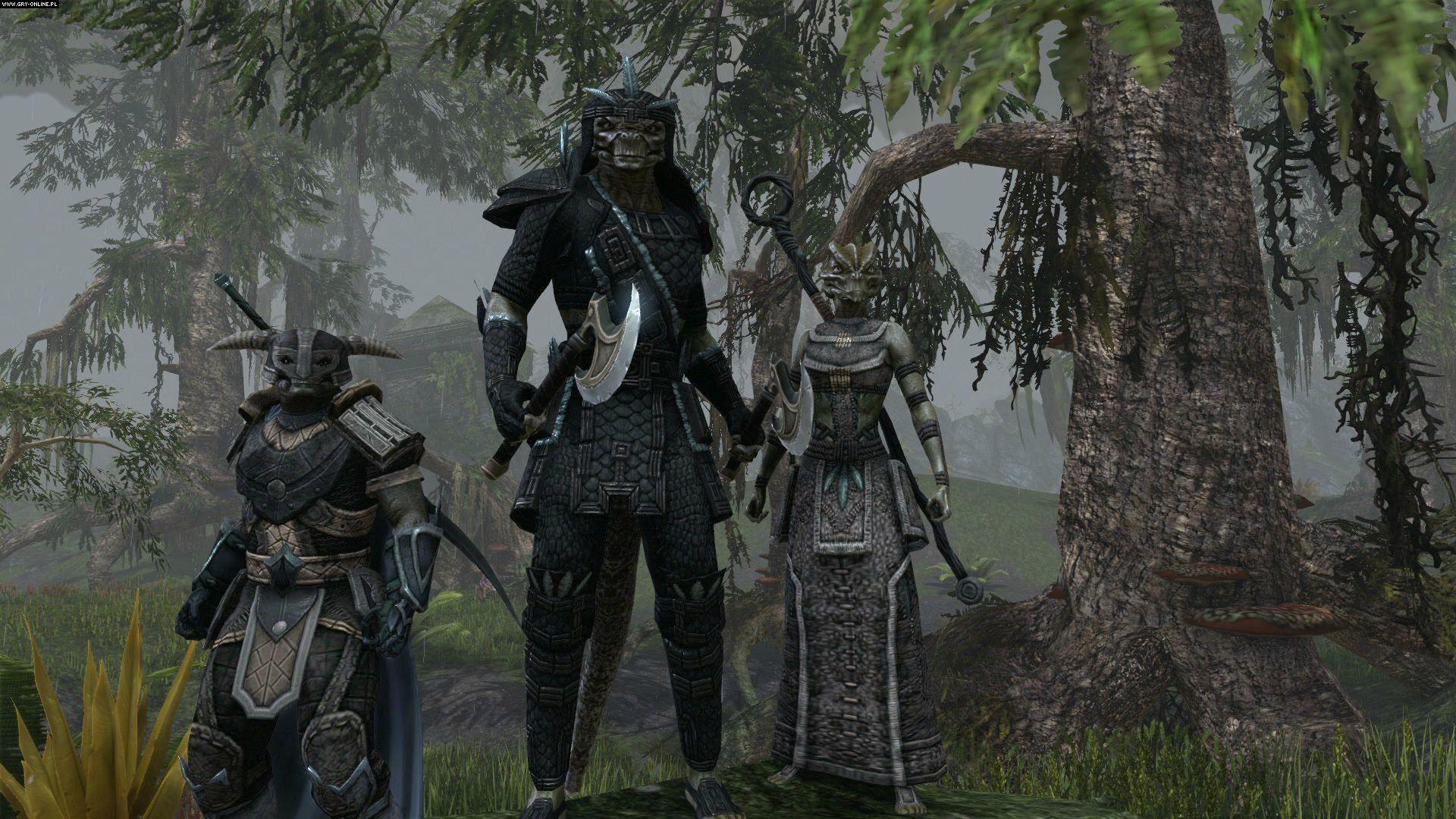 The Elder Scrolls Online Full HD Wallpaper