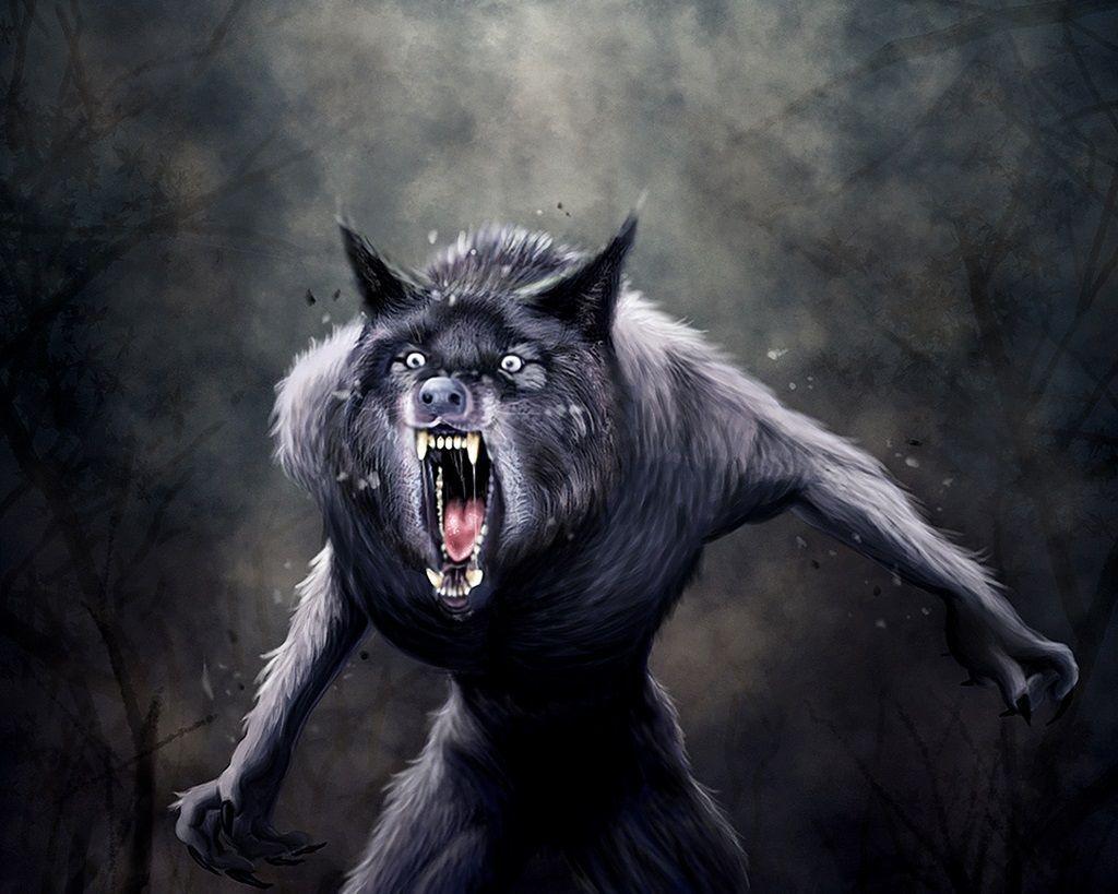 Scary Werewolf Wallpaper For Desktop. Humor