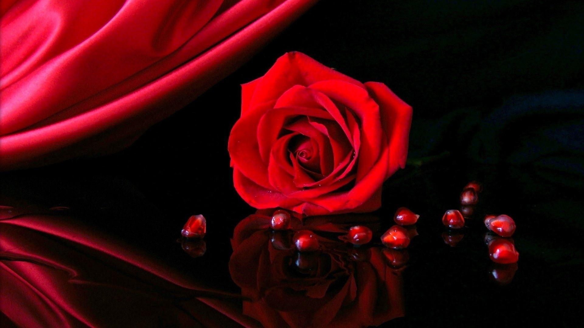 Red Rose HD Wallpapers - Wallpaper Cave