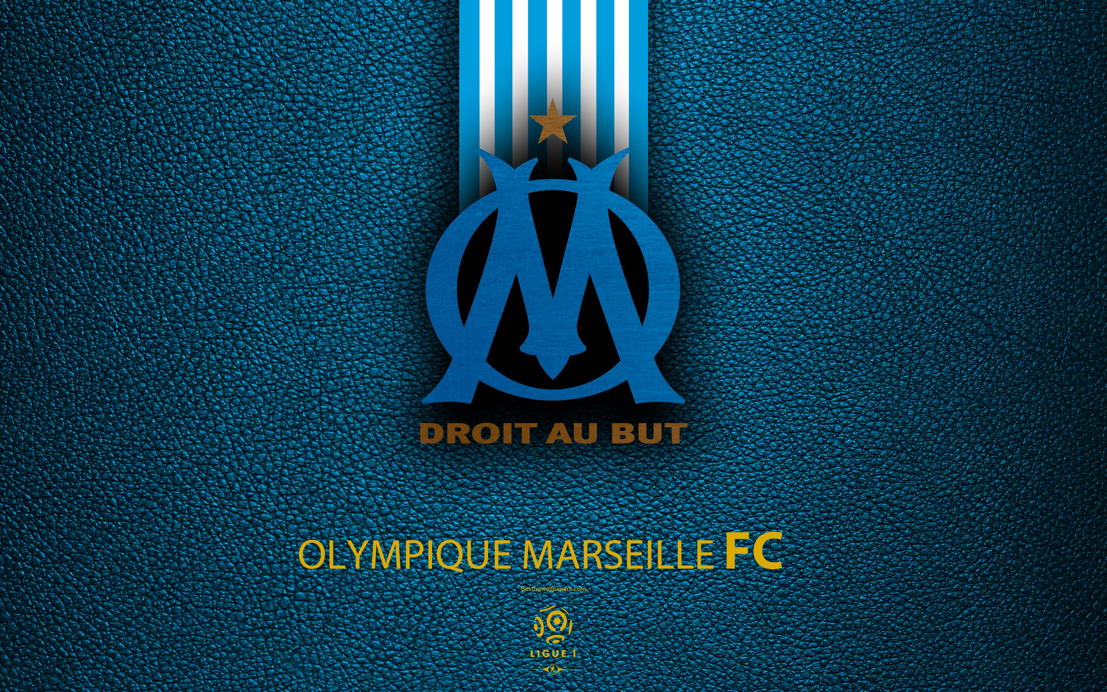 Download wallpaper Olympique Marseille, FC, 4K, French football