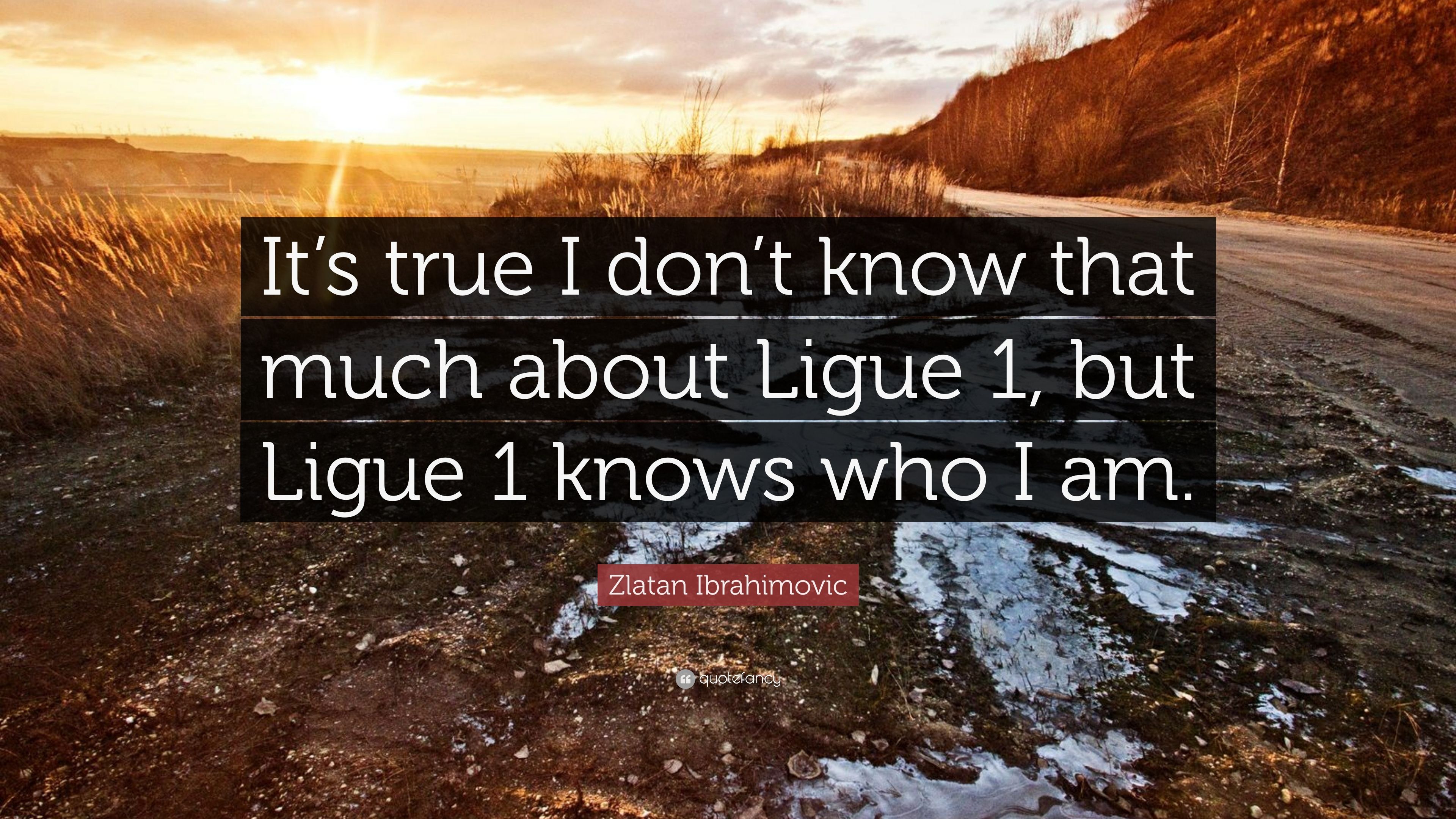Zlatan Ibrahimovic Quote: “It's true I don't know that much about