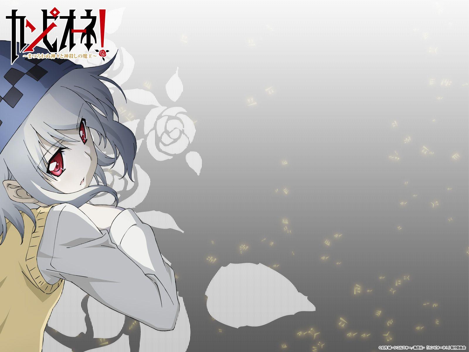 Campione! Wallpapers - Wallpaper Cave