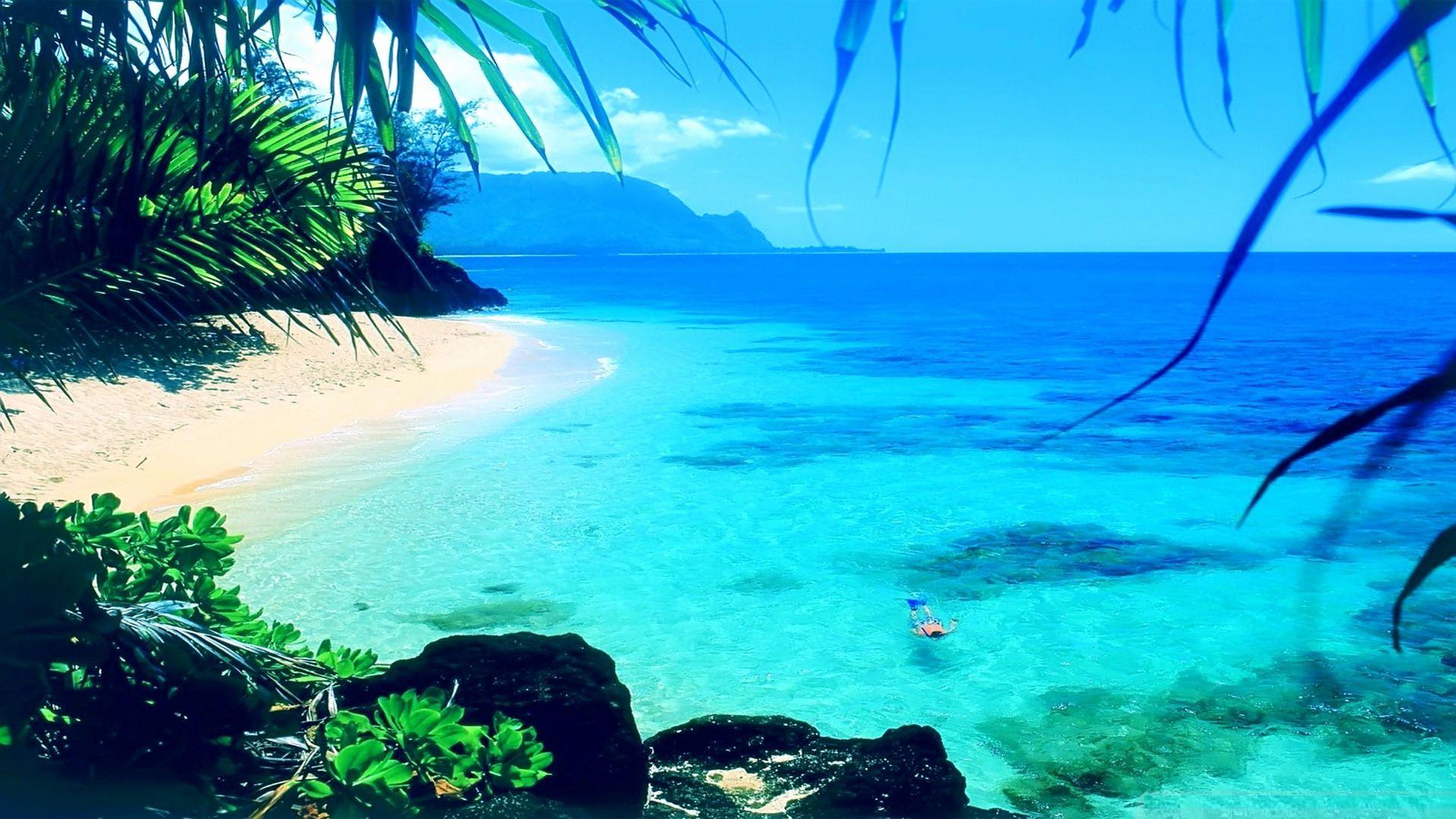 Summer Wallpaper Fresh Hot Summer Wallpaper HD Impremedia. HD