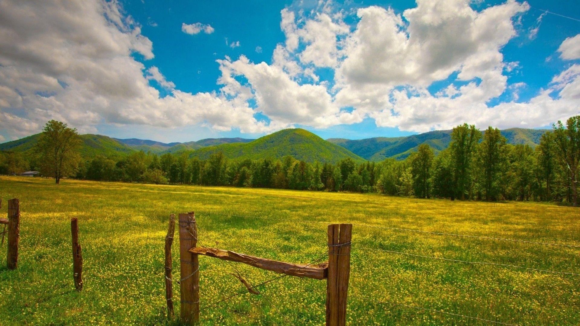Nature HD Image Wallpaper field grass fence sky summer 84356
