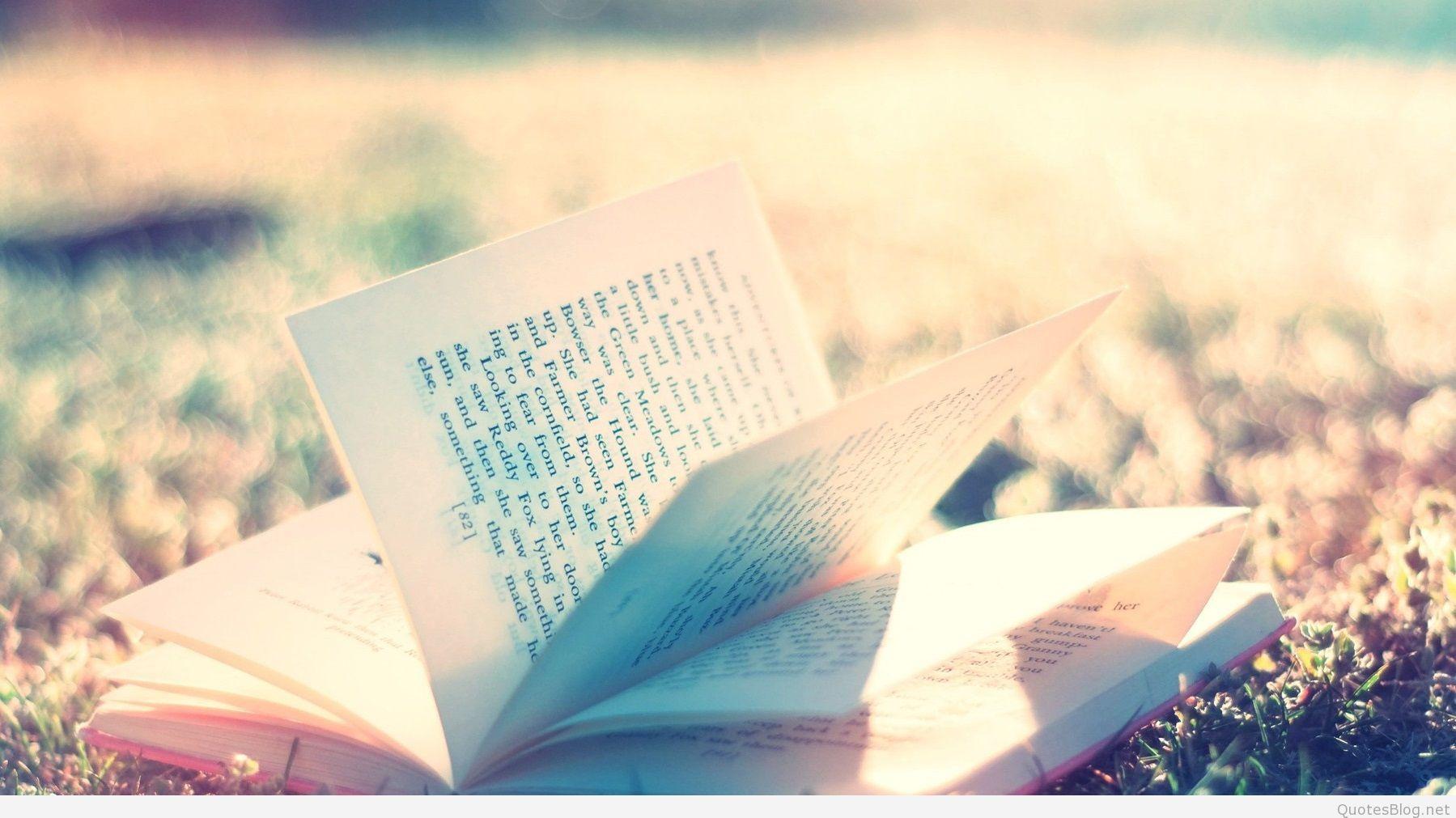 Summer Background Wallpaper Photo 2017 The Best Collection