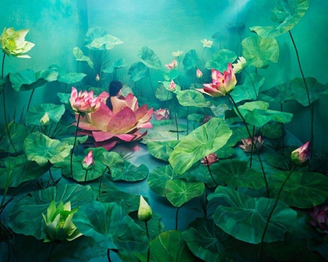 Flowers: Art Leaves Flowers Lotus Flower Wallpaper For Desktop