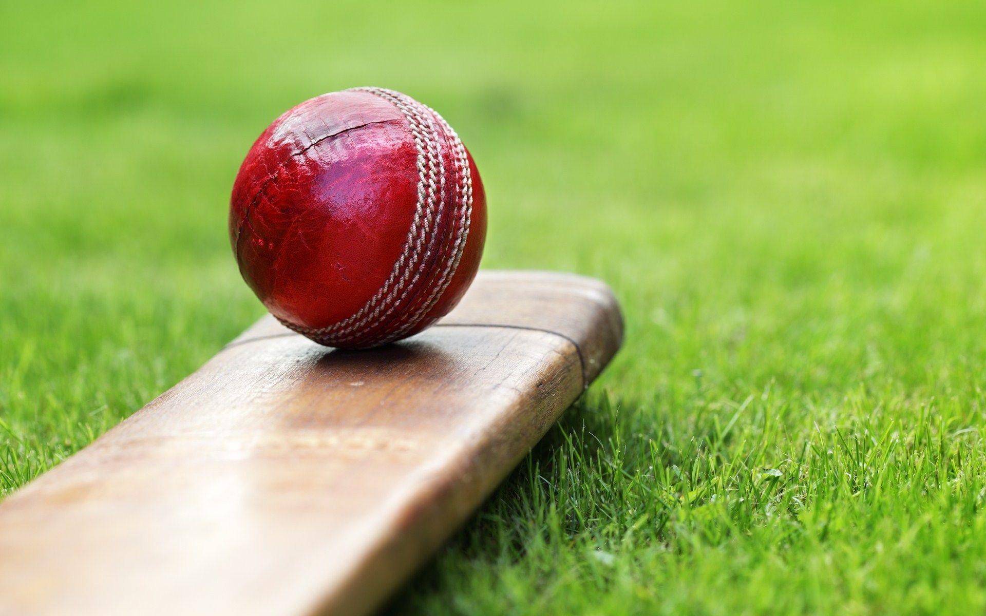 Cricket bat and ball #picture