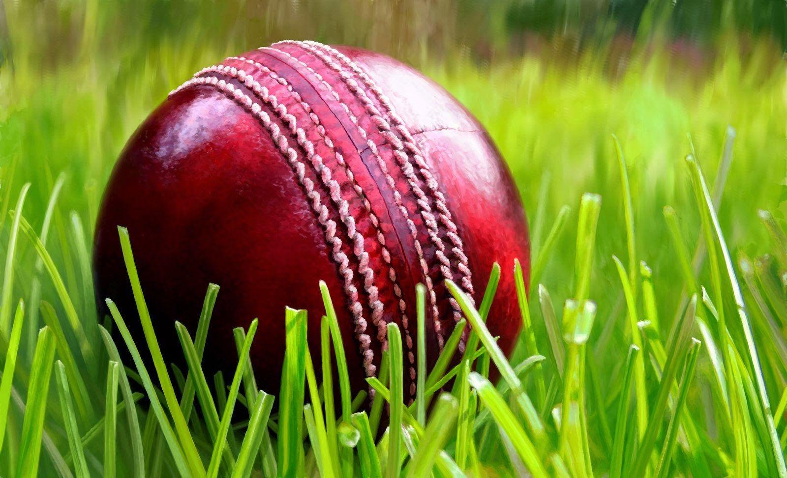 Cricket Bat And Ball Hd Images Download - the meta pictures