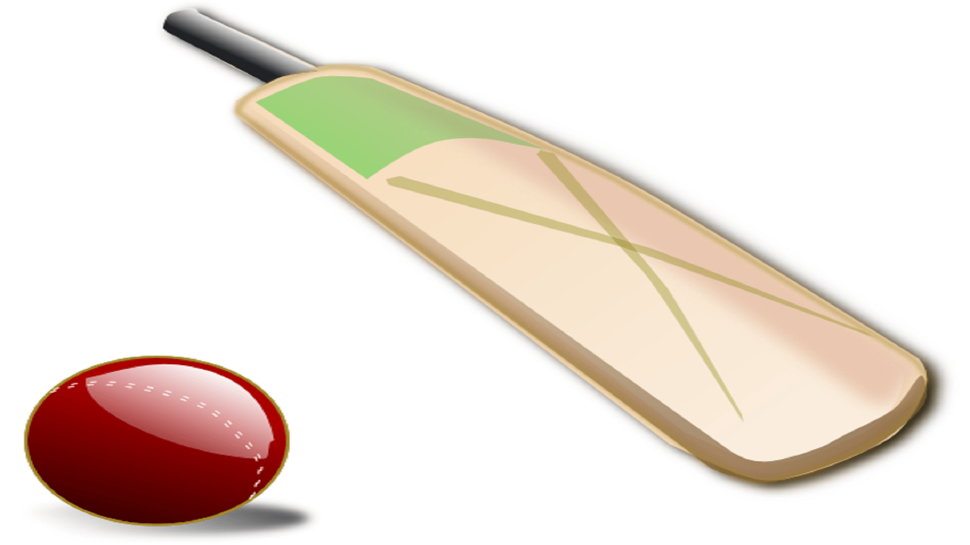 Cricket Bat, Ball, and Its Crucial Factors