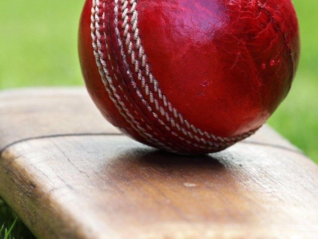 Bat And Ball Stock Photos and Images  123RF